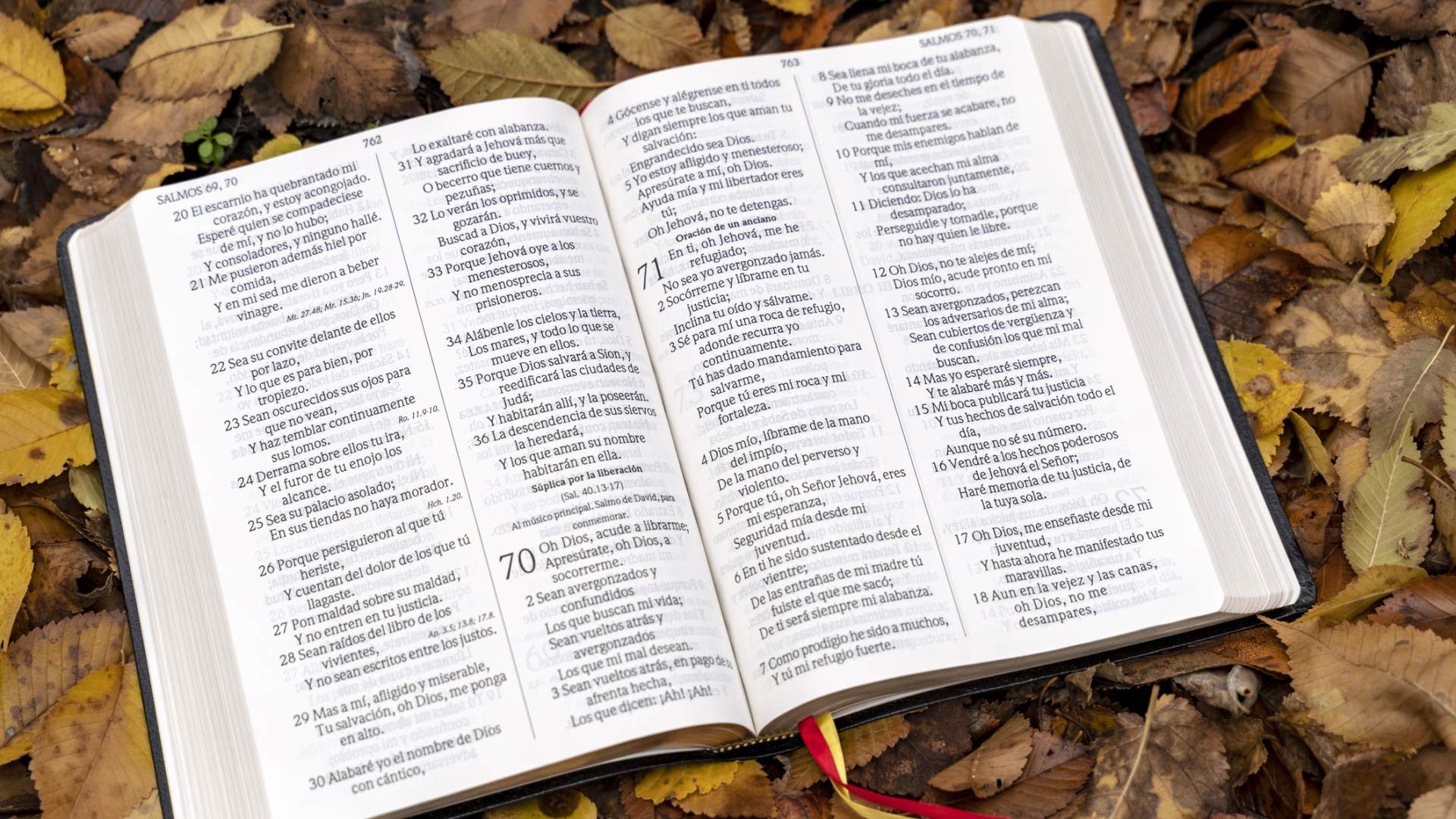 Come imparare a essere “lenti all’ira”?