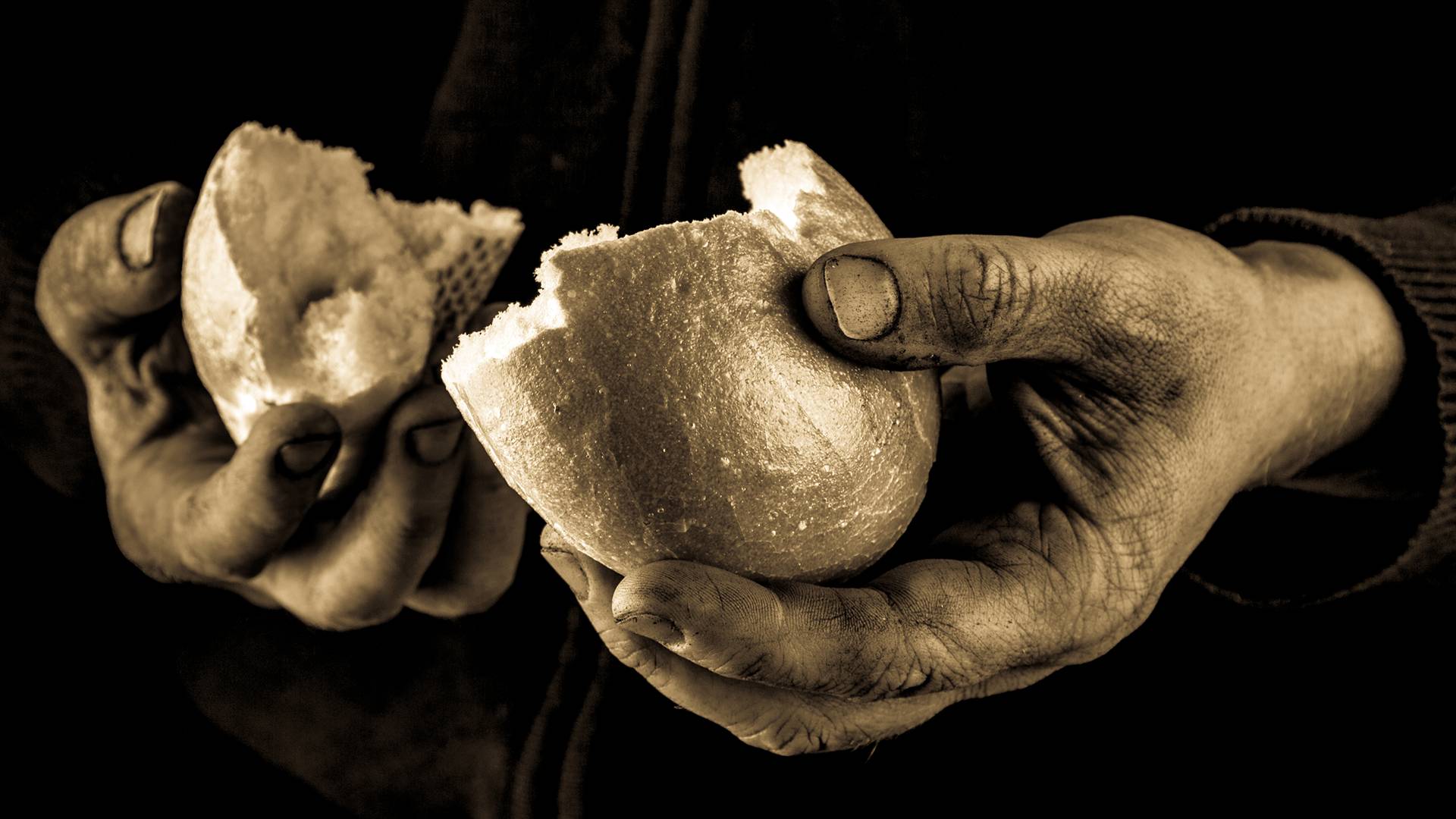 dreamstimem137532954-1