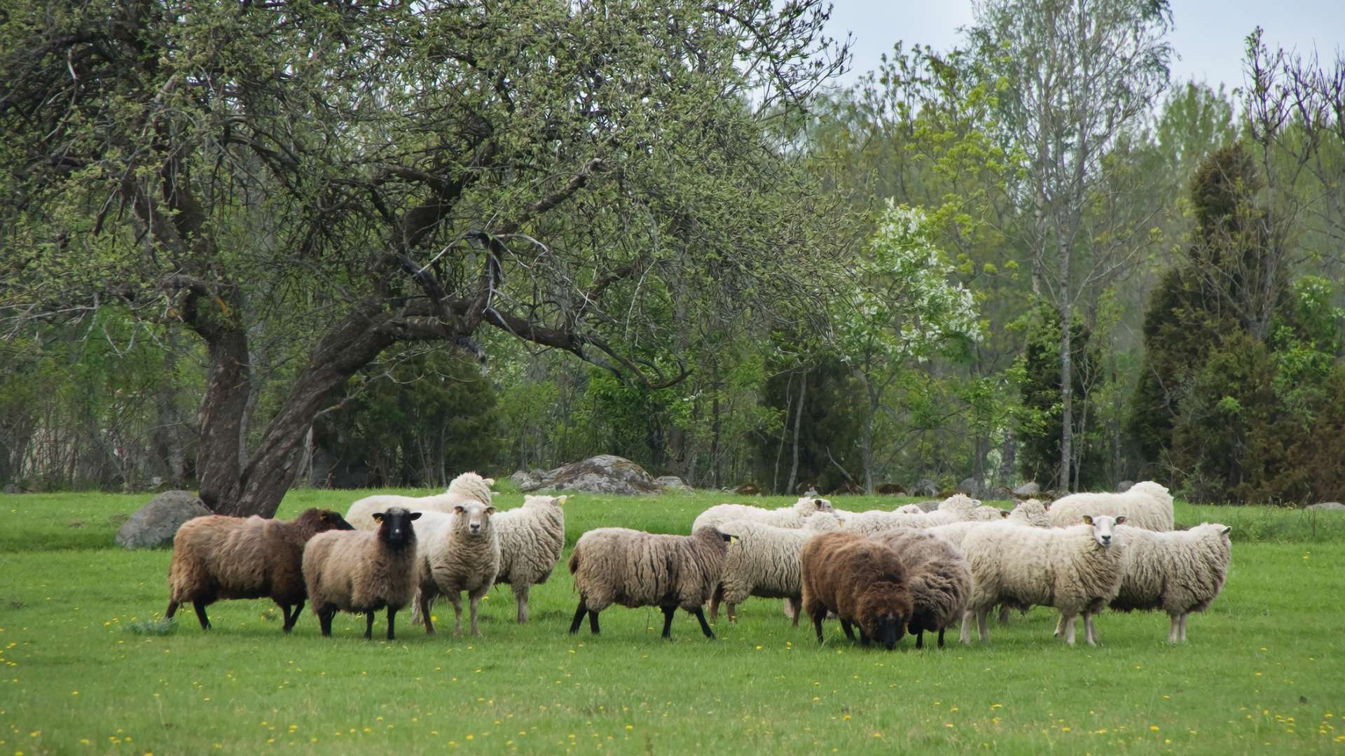 Surfando sul Vangelo (48)