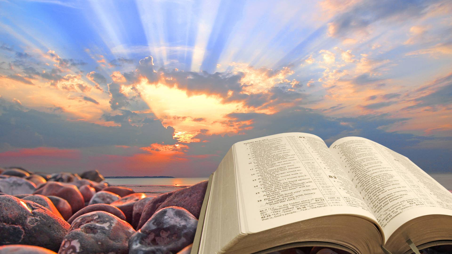 dreamstimem148002421-1-8