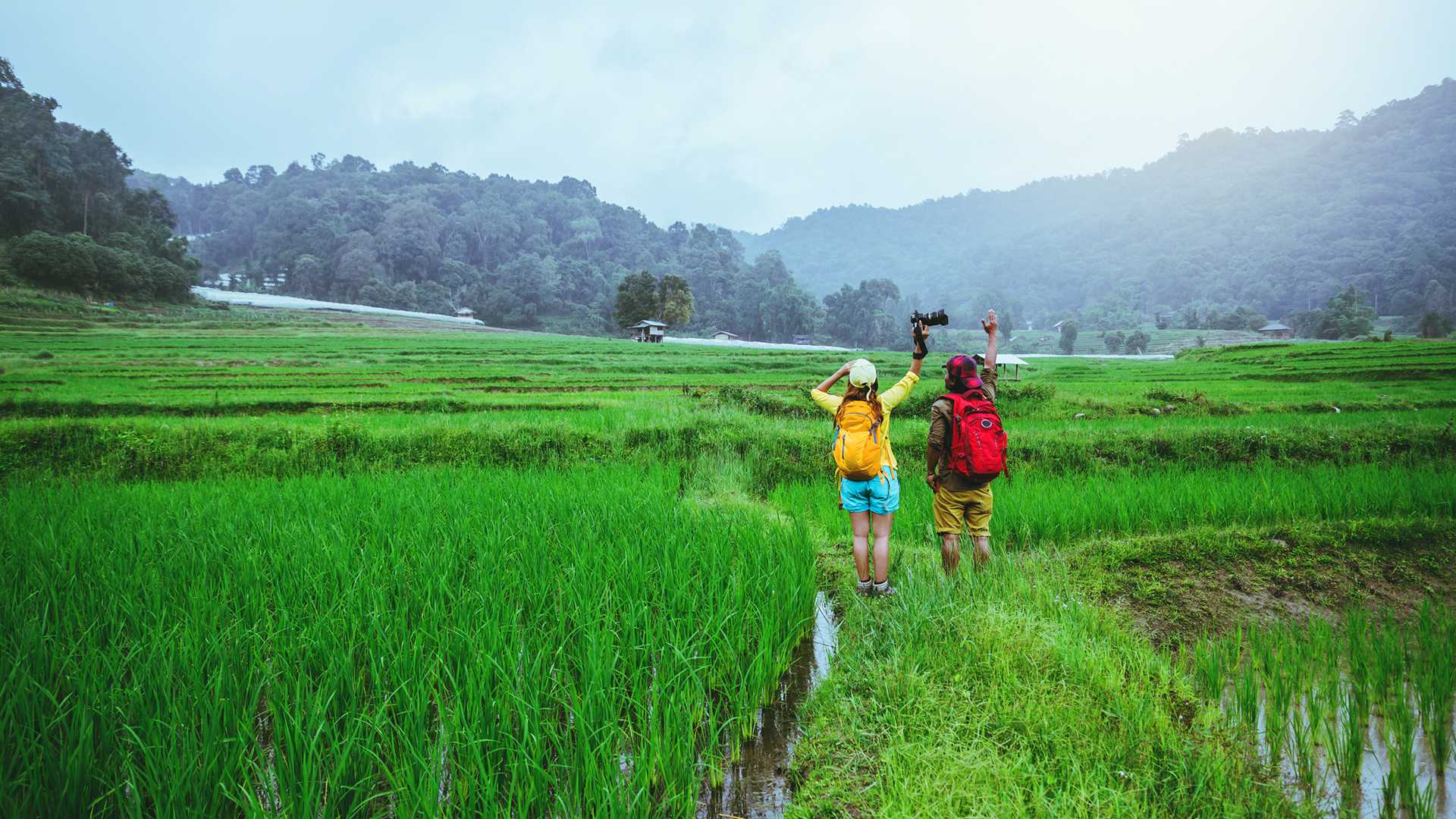 dreamstimem151603117-1