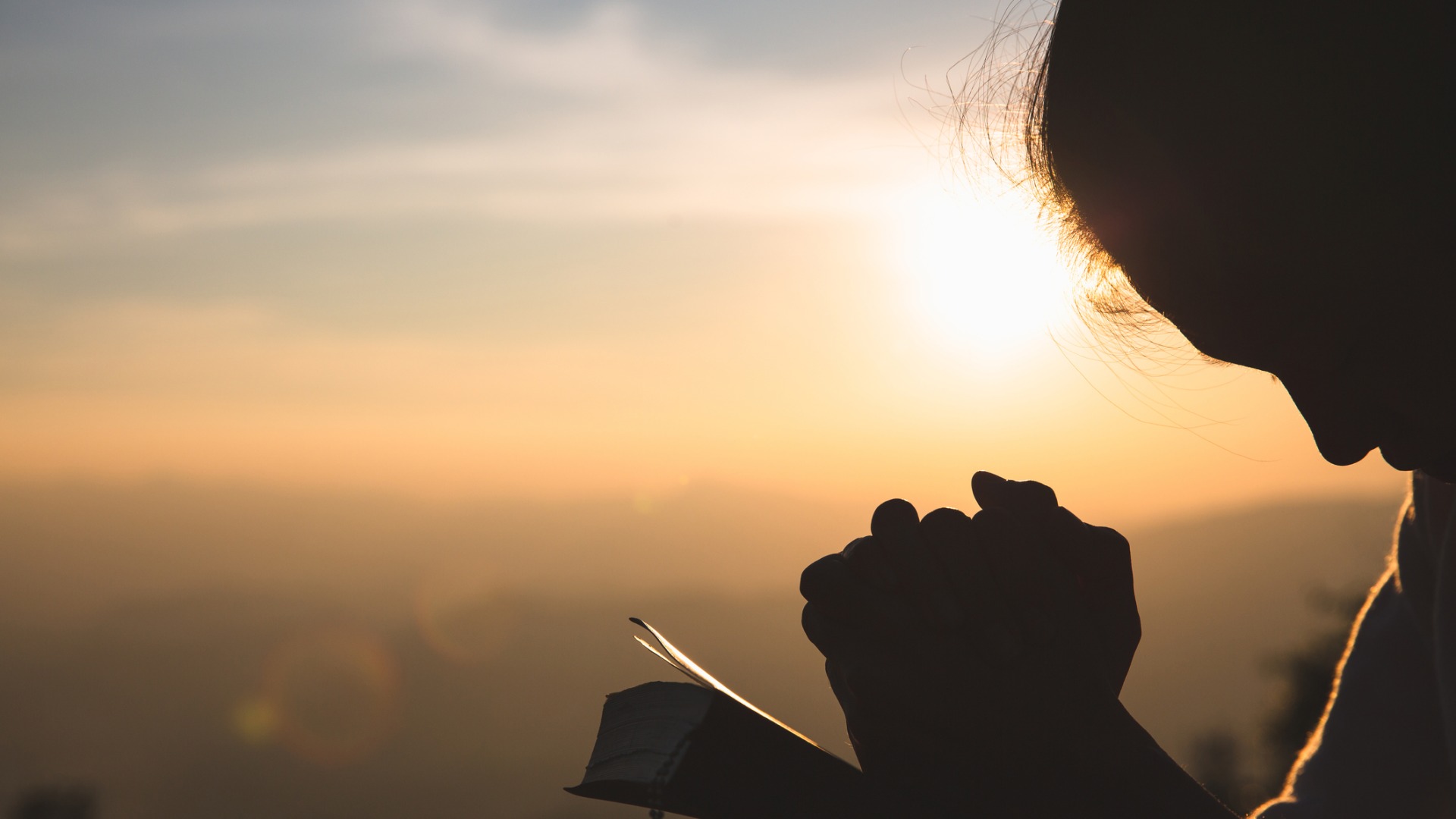 dreamstimem168588176-1