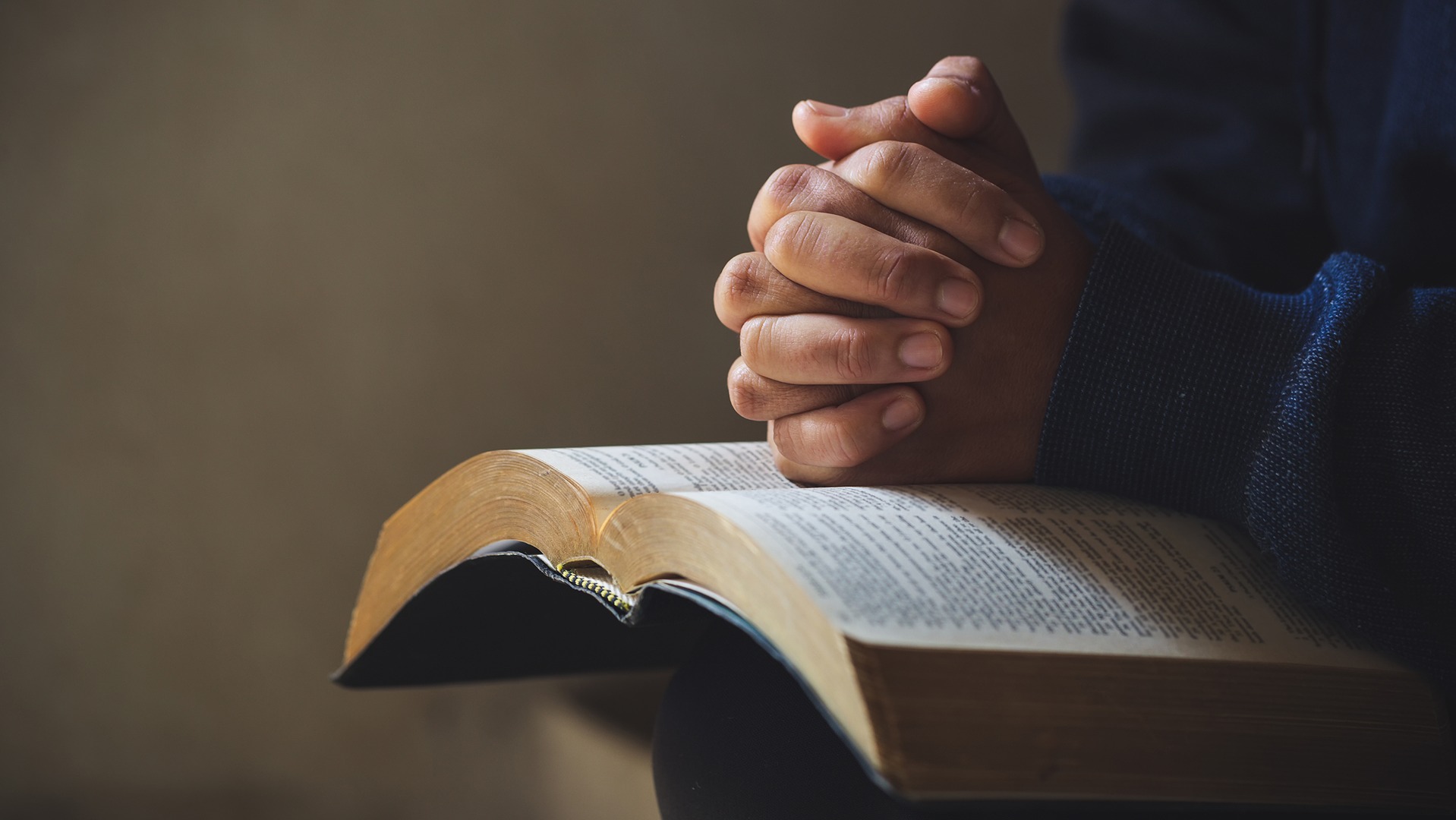 dreamstimem169868697-1