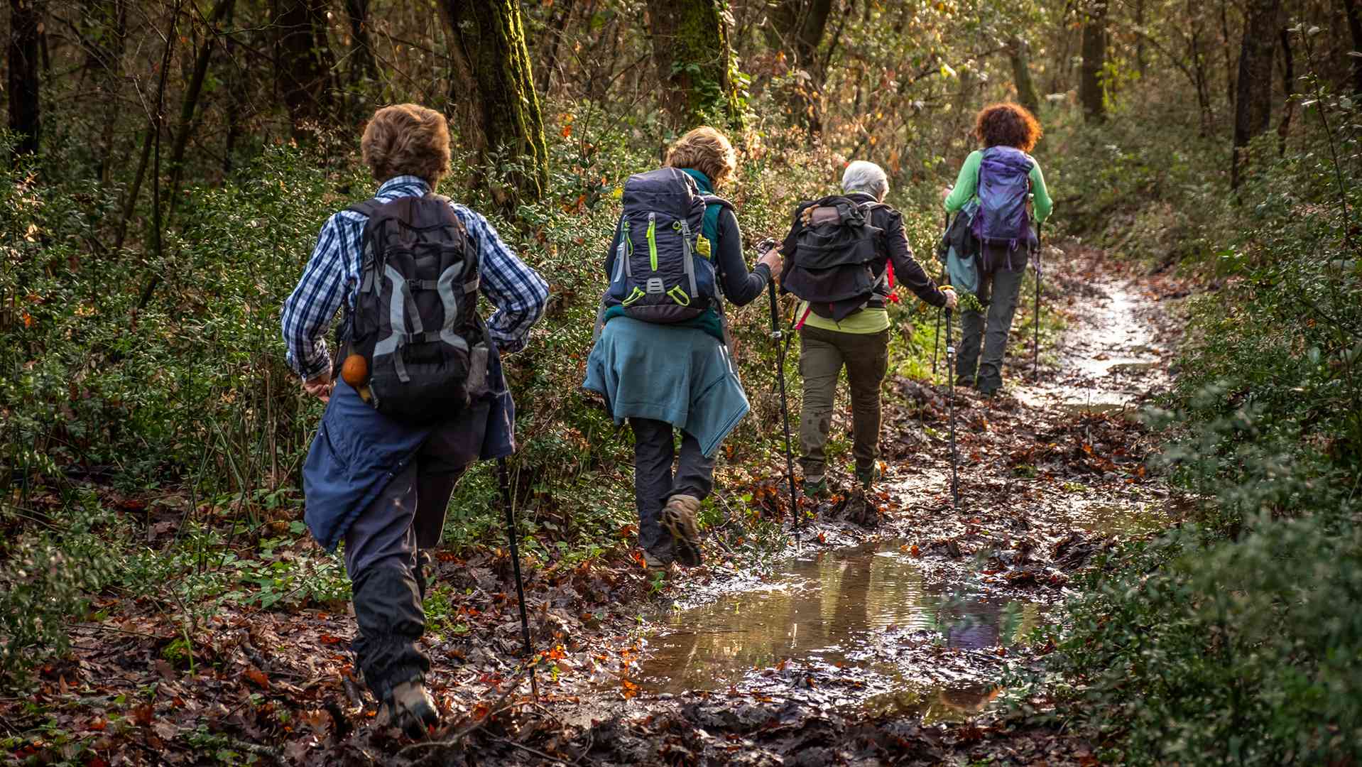 dreamstimem171693316-1