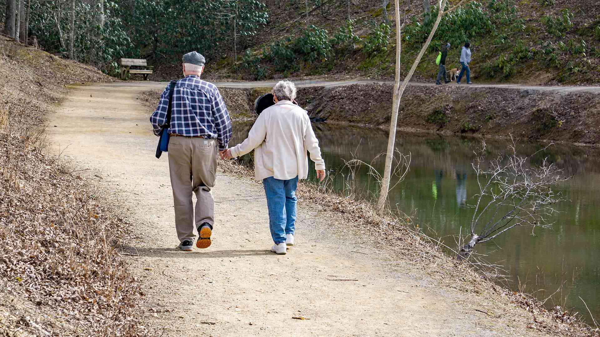 dreamstimem176294281-1