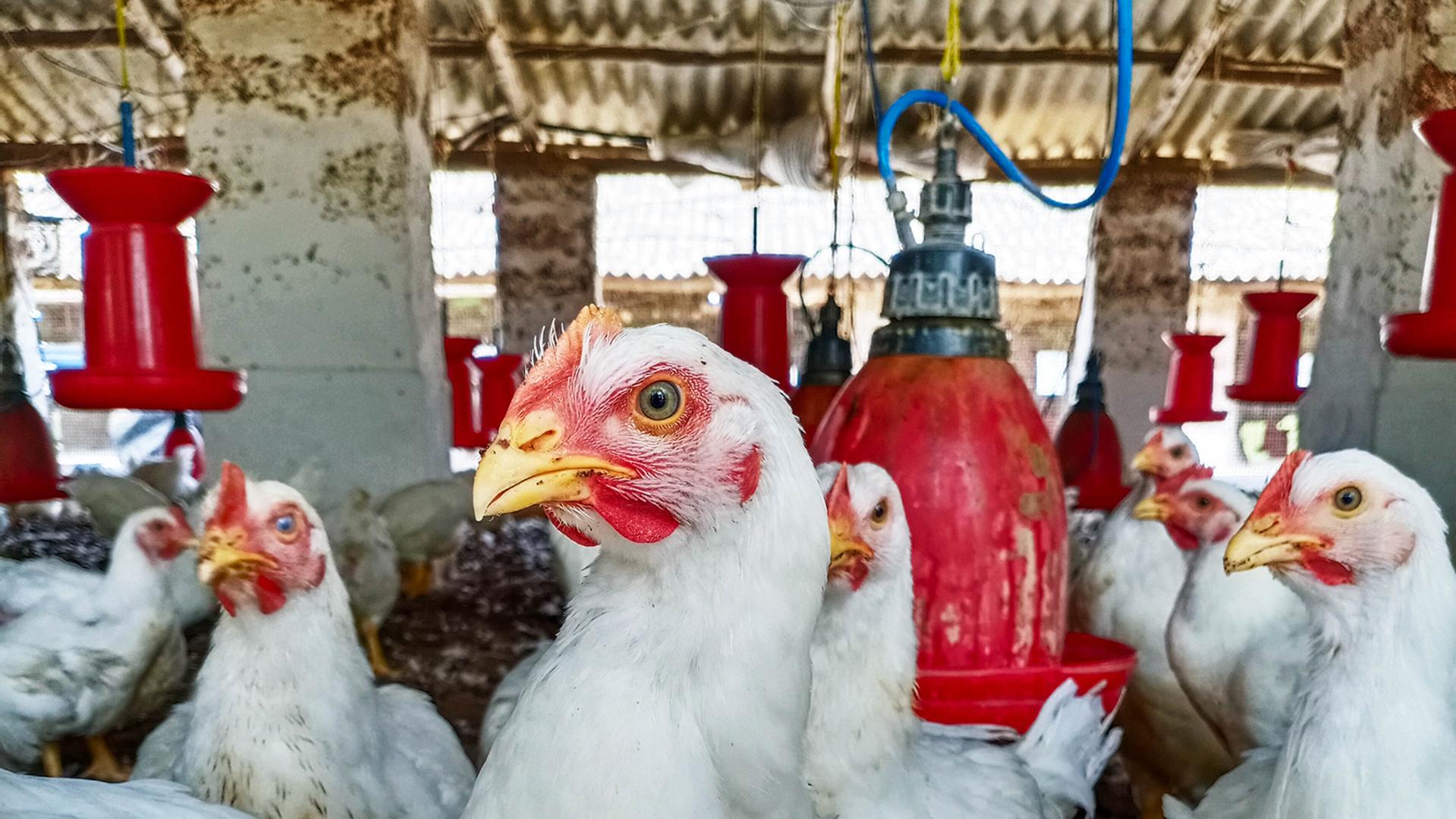 dreamstimem188636836-1