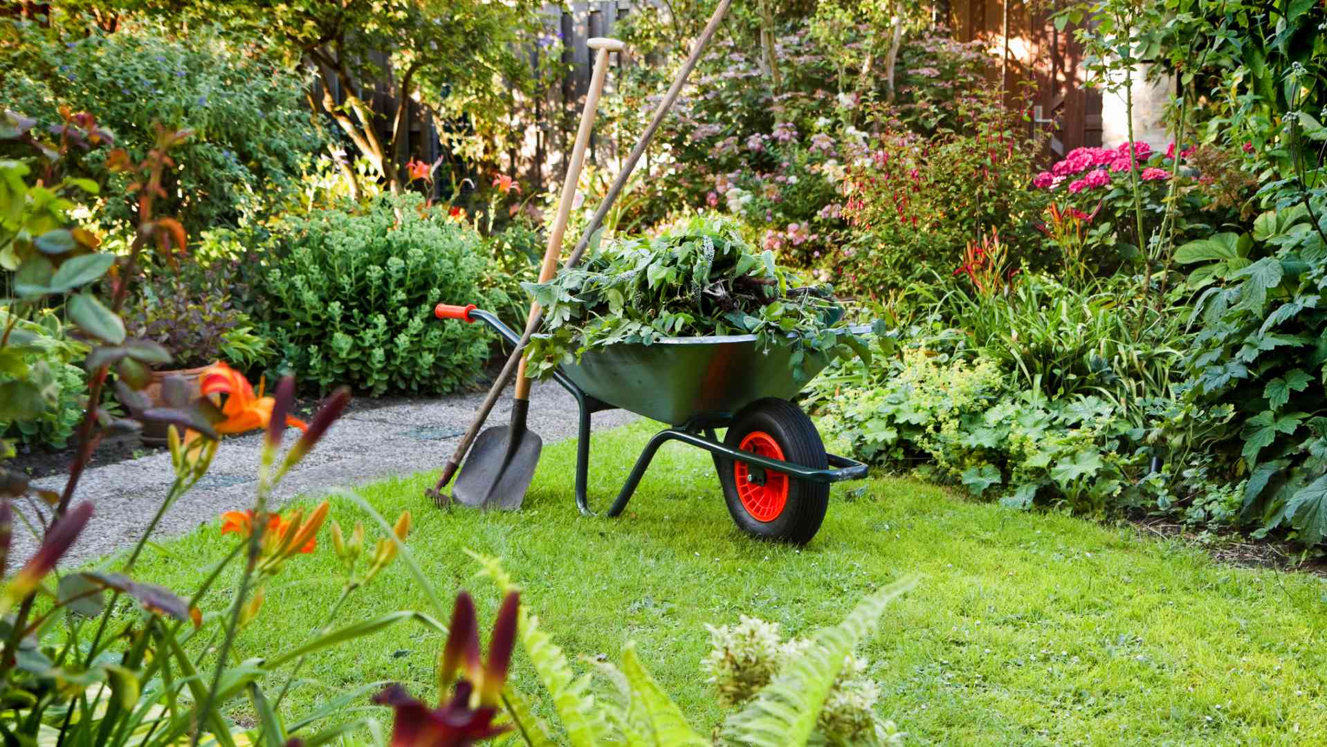 Virtù e potenzialità: lezioni dal giardinaggio (prima parte)