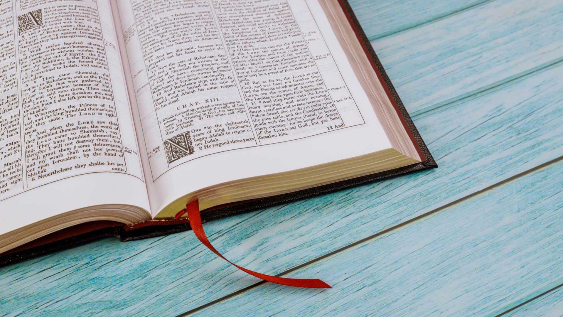 dreamstimem206916704-1-1-16