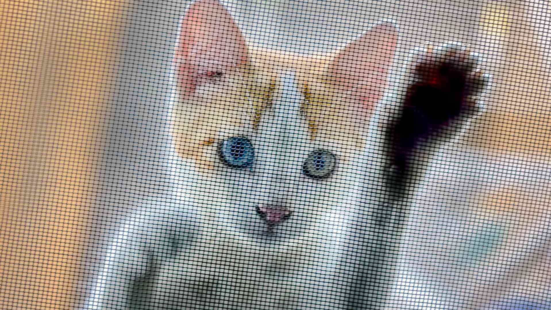 La storia del buongiorno. Toc! Toc! Mi aiutate, per favore?