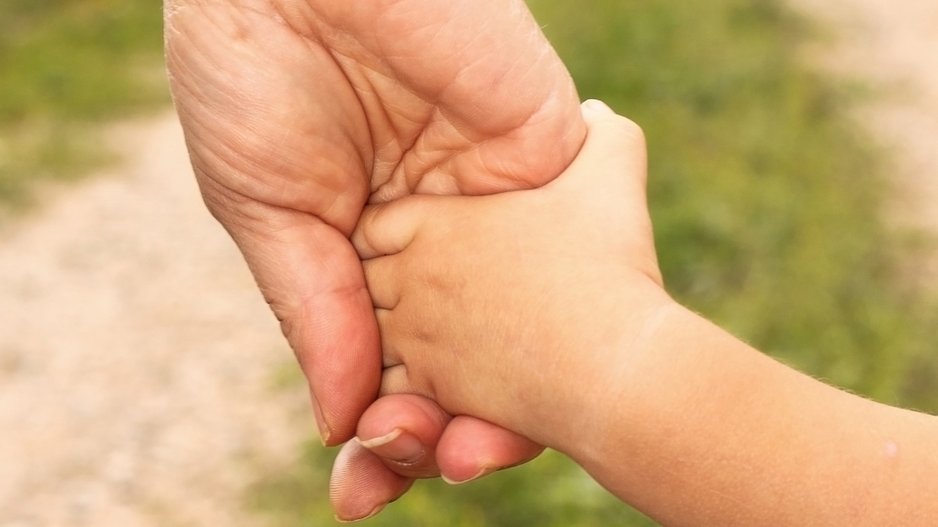 dreamstimem21771615-1