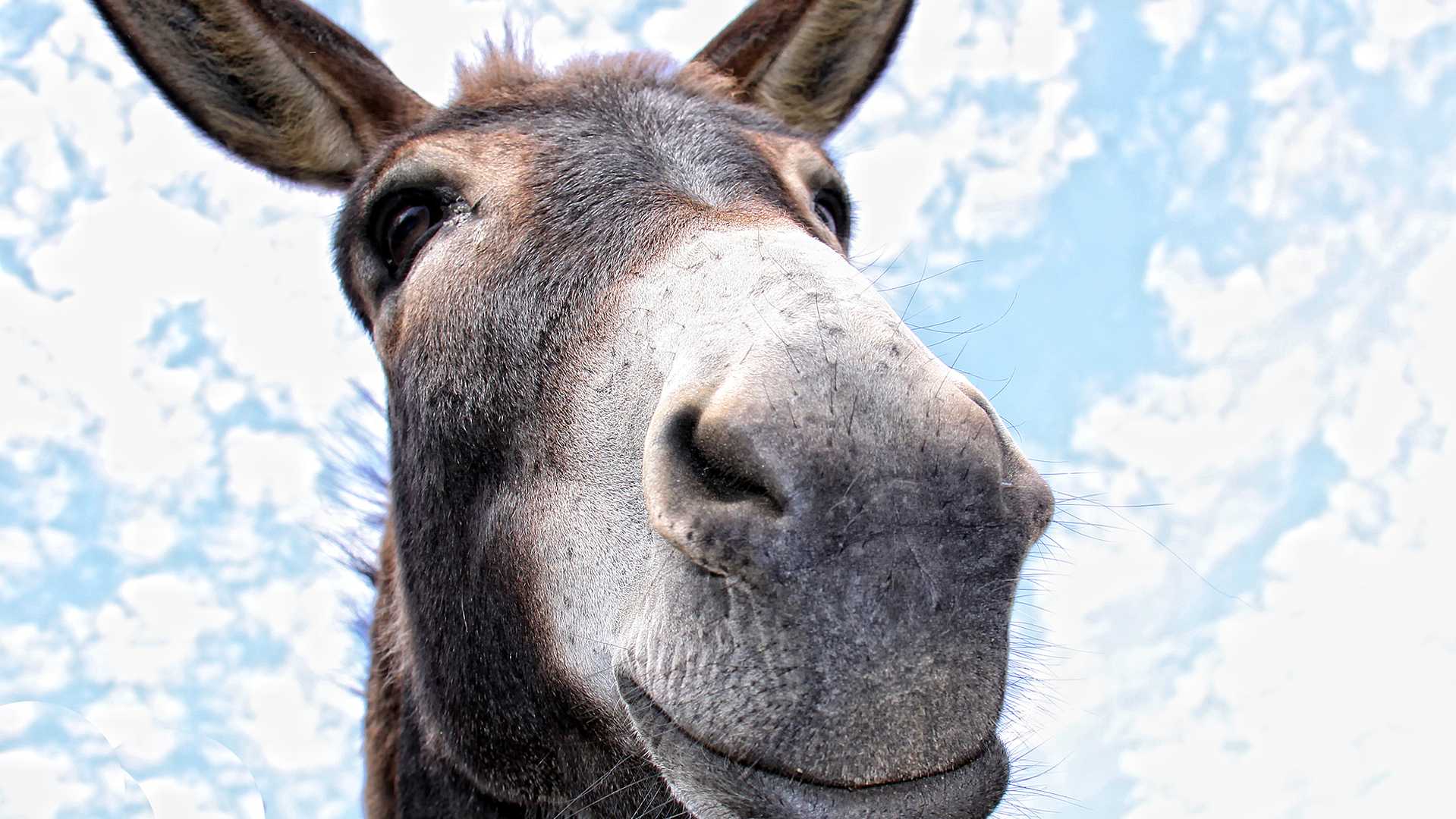 dreamstimem23888811-1