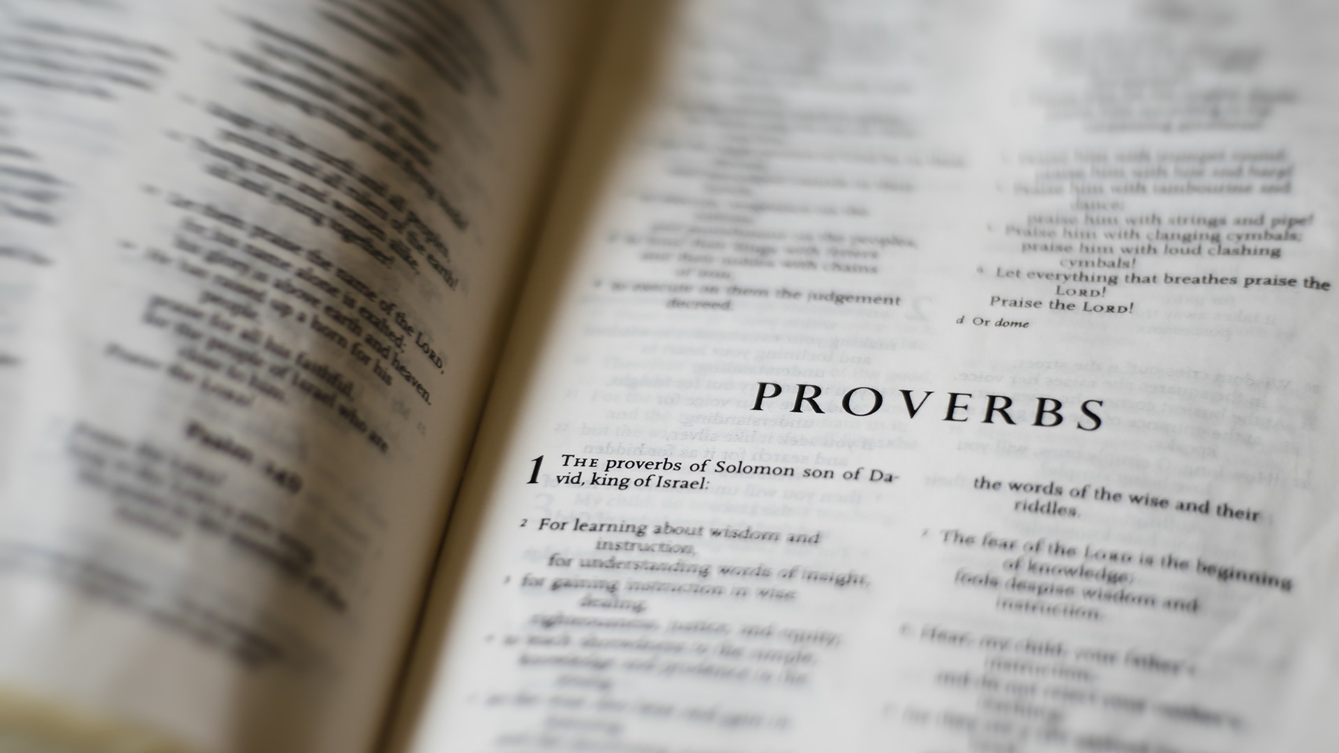 Alla scoperta dei Proverbi – Capitolo 24