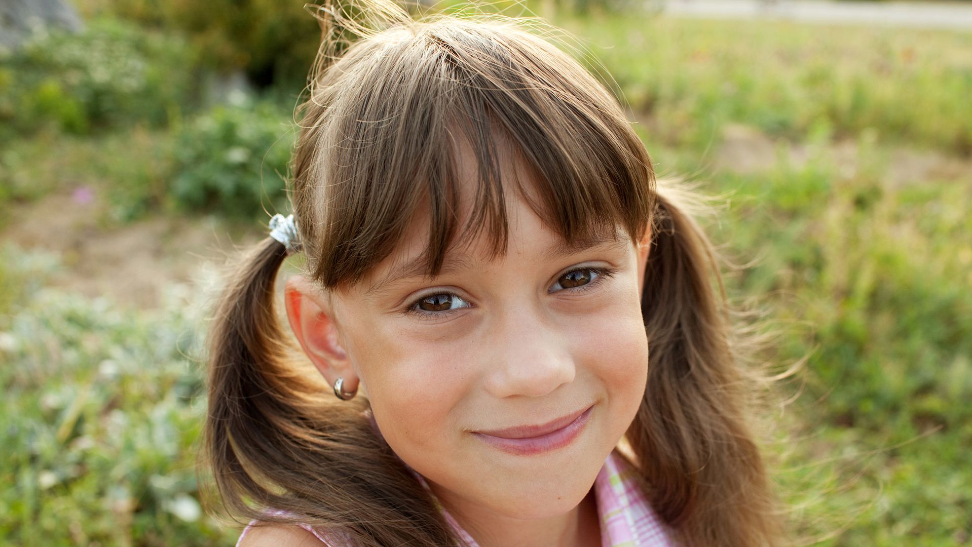 dreamstimem26199524-1