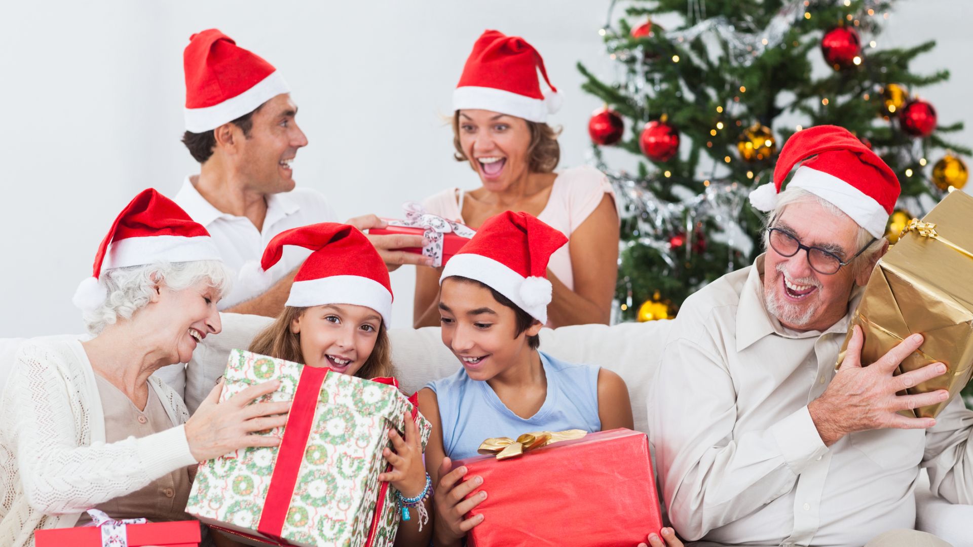 dreamstimem27676580-1-1