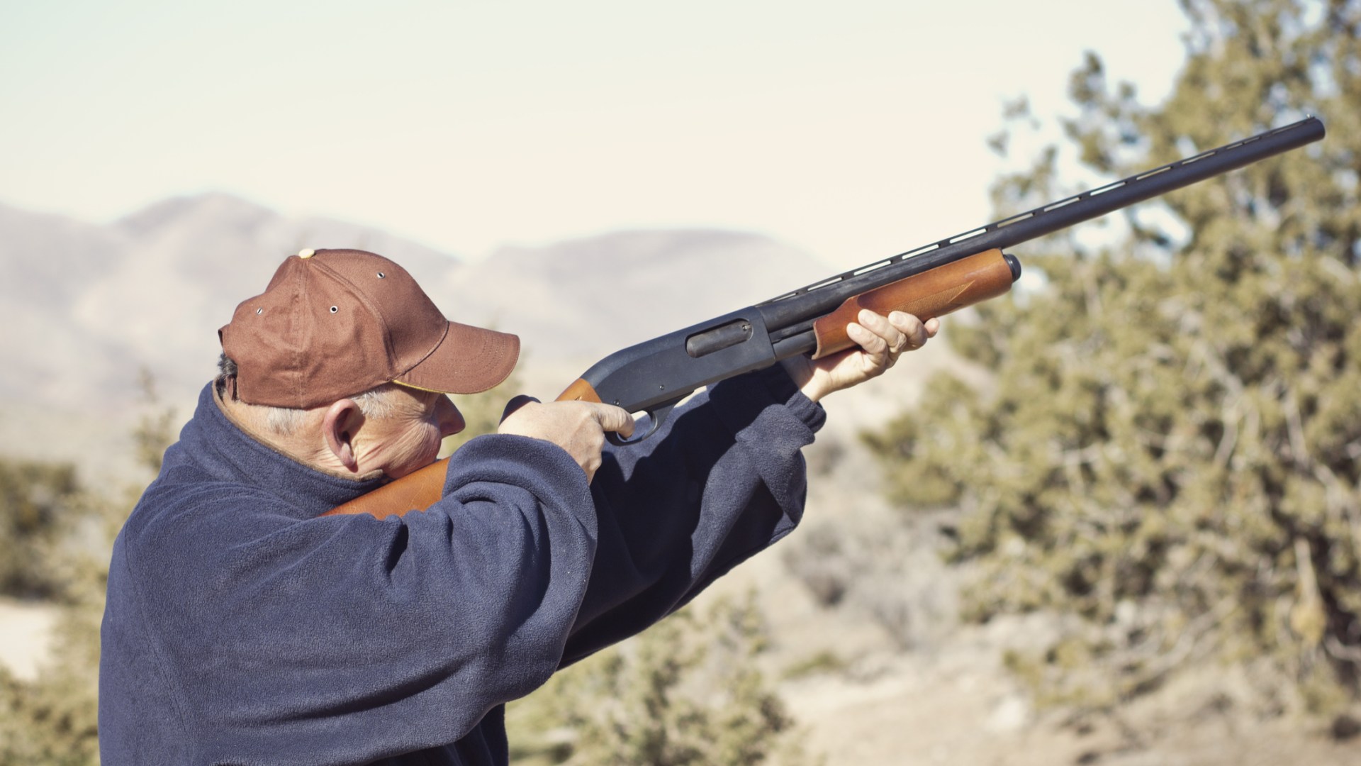 dreamstimem28706438-1-1