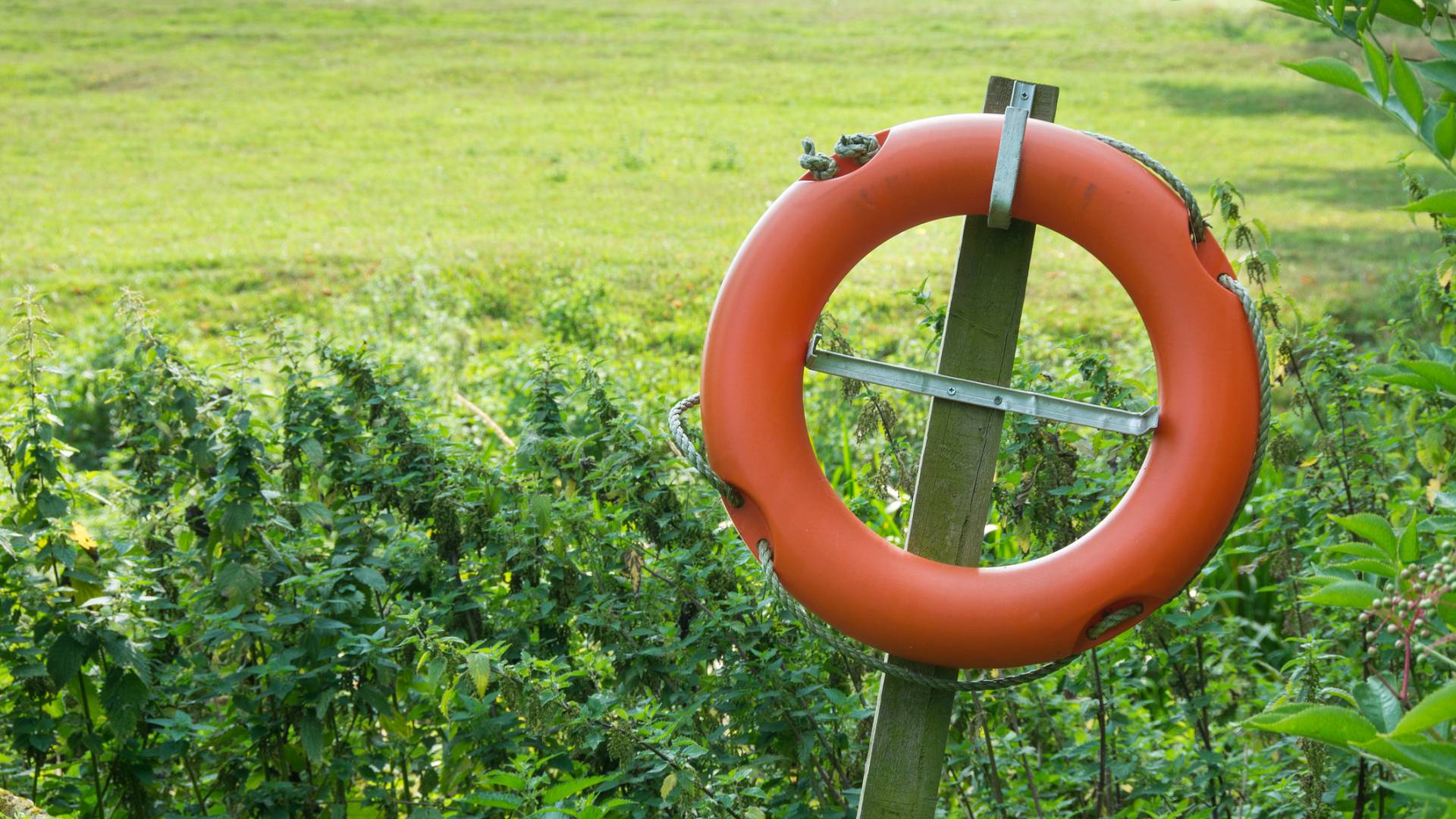 Surfando sul Vangelo (49)