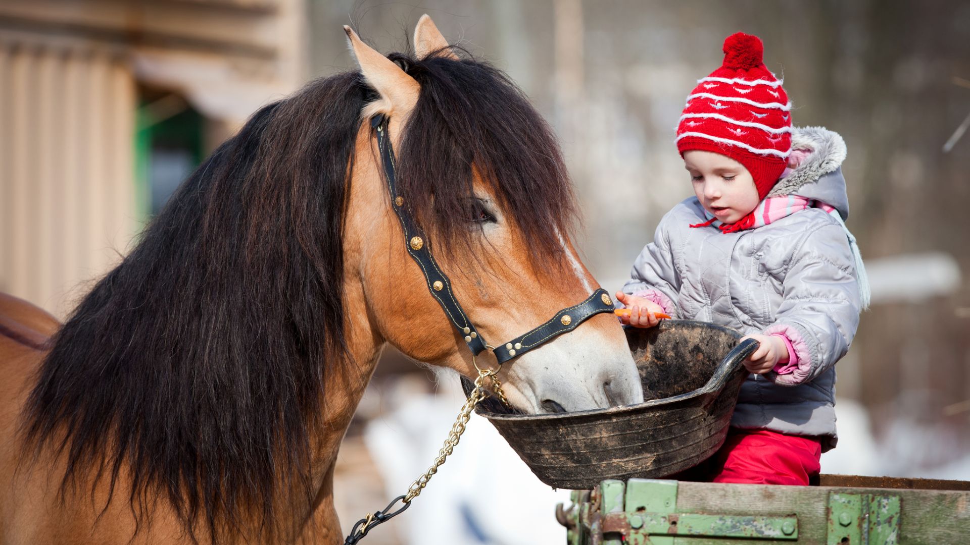 Storie di coraggio e di speranza in un mondo perduto– Due giovani, anzi tre