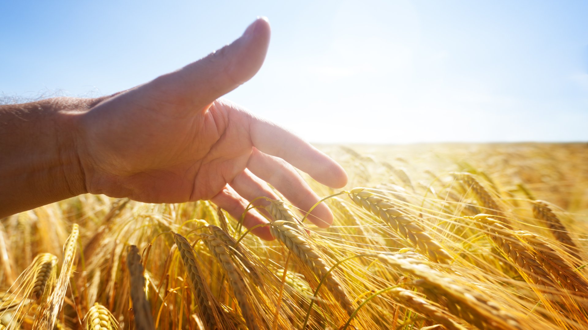 dreamstimem41862161-1-6