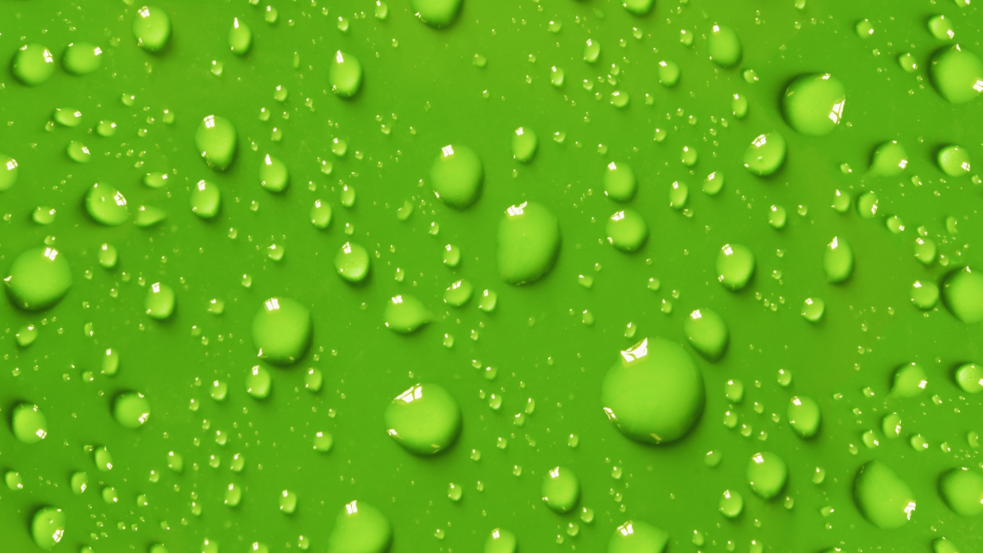 dreamstimem4675789-1-6