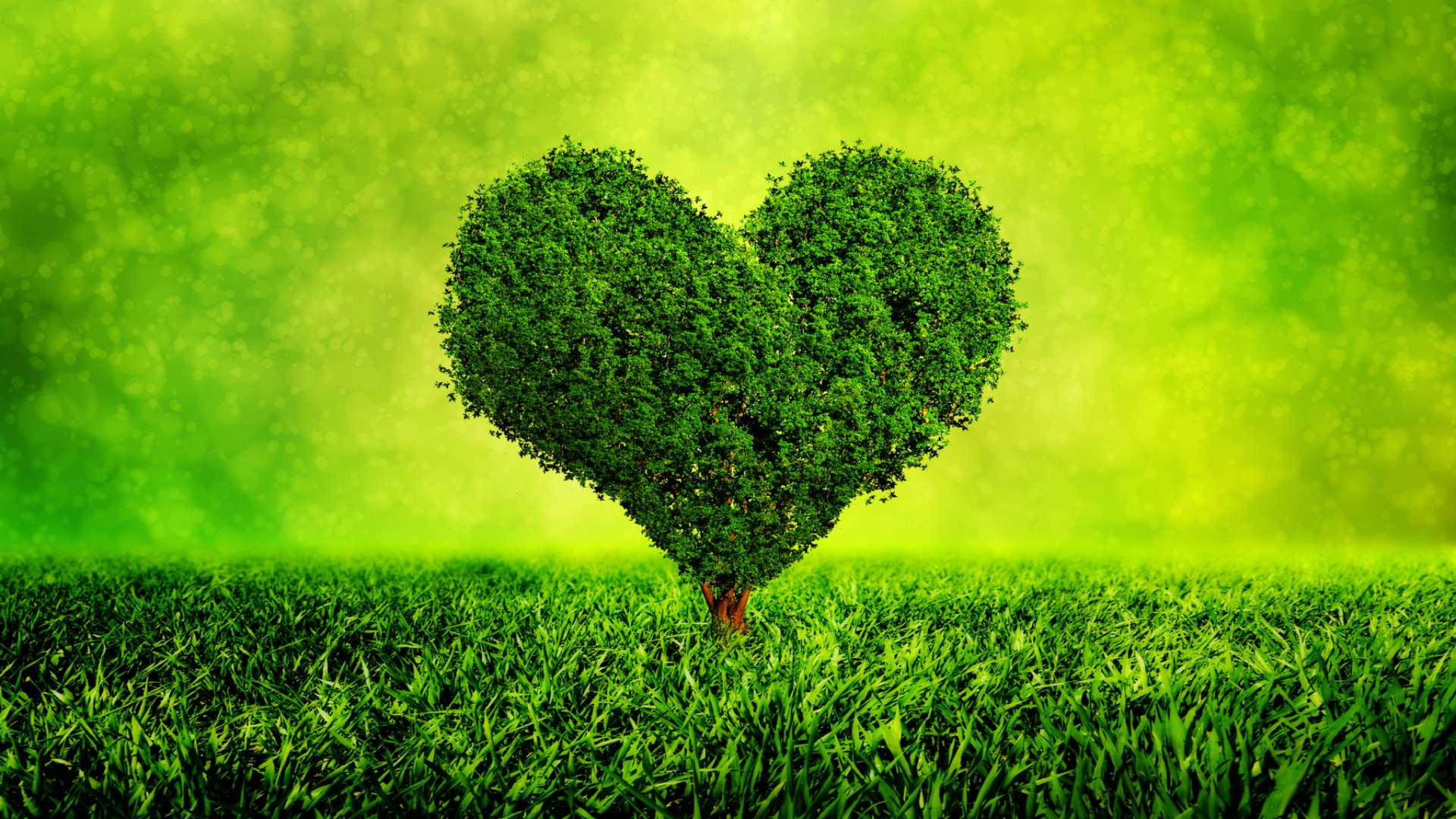 Come far crescere in noi fede, speranza e amore?