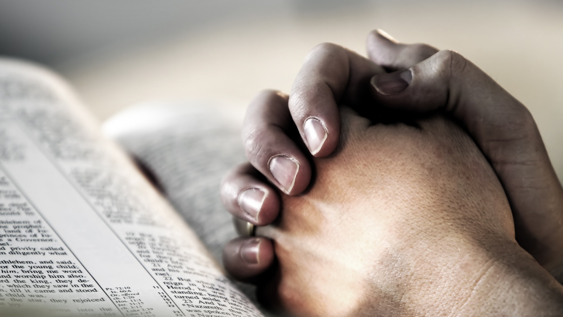 dreamstimem492063-1-7