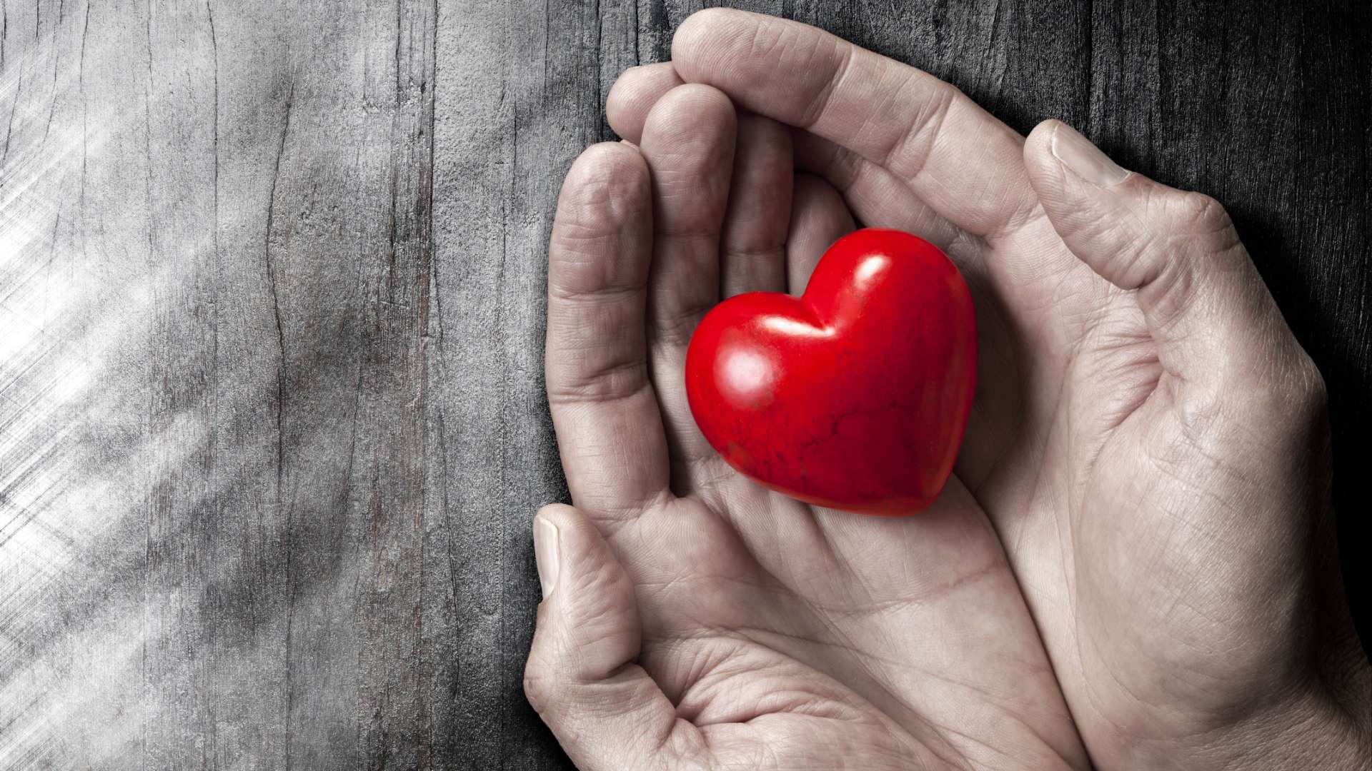 dreamstimem54232593-1-1