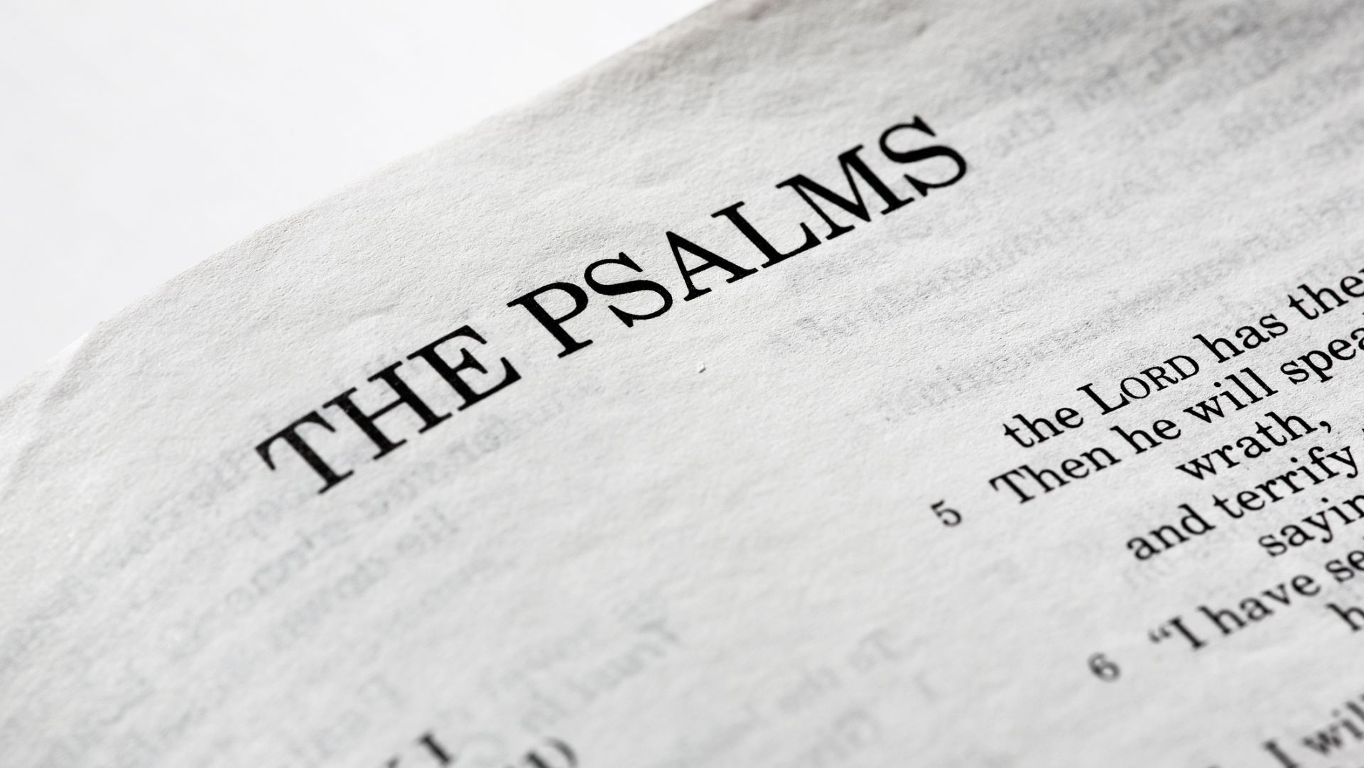 dreamstimem7815094-1-20