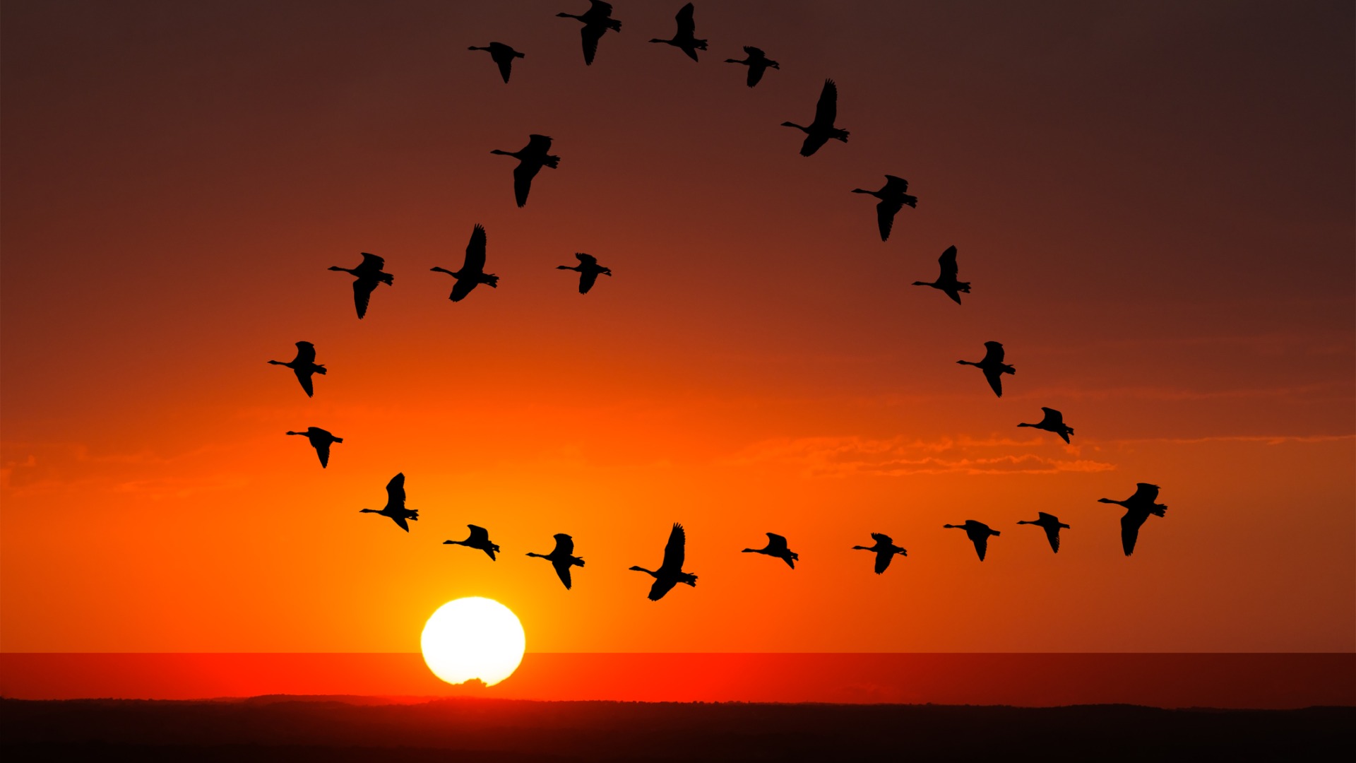 dreamstimem95869871-1-1