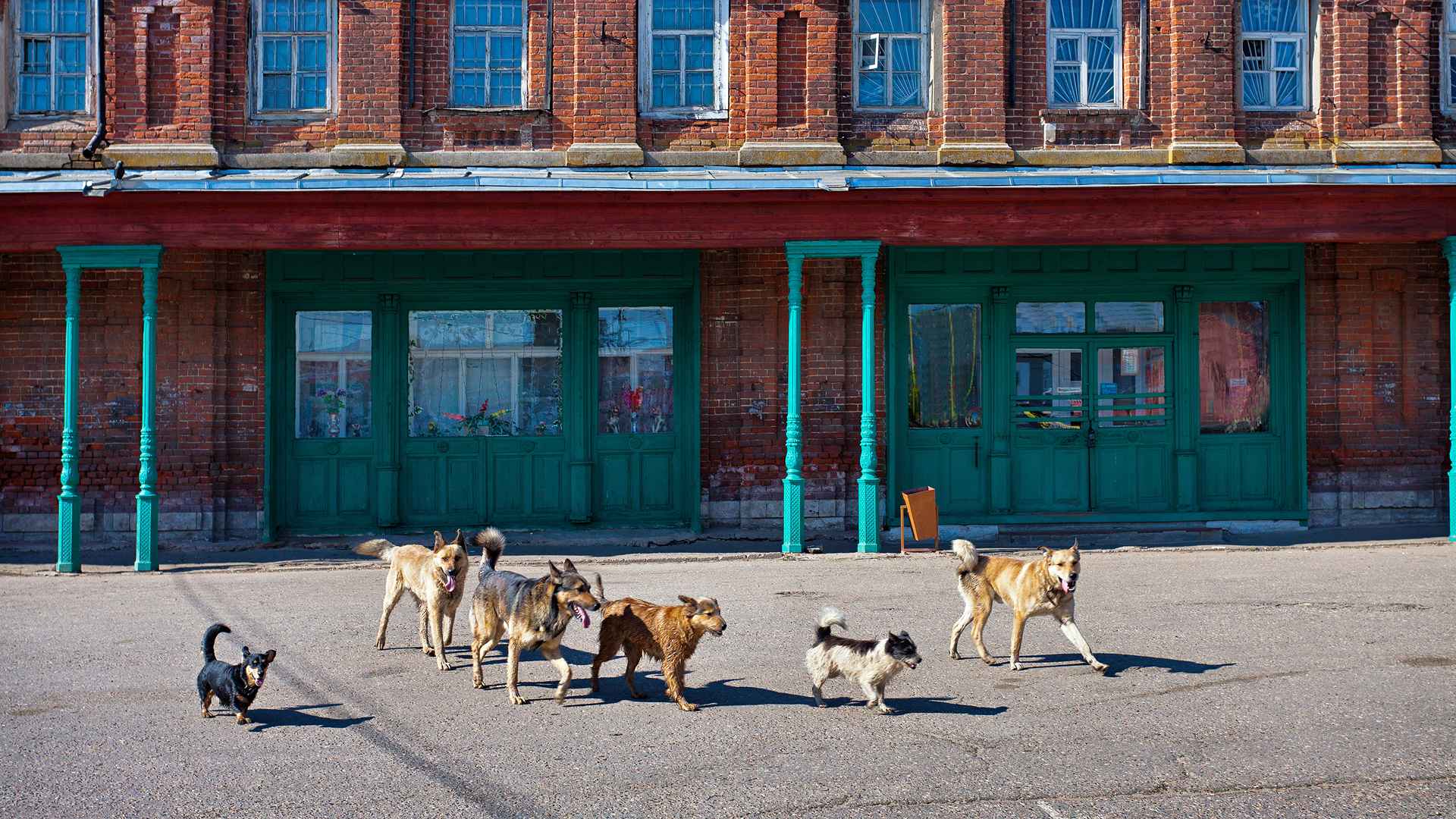 dreamstimexl122837331-1