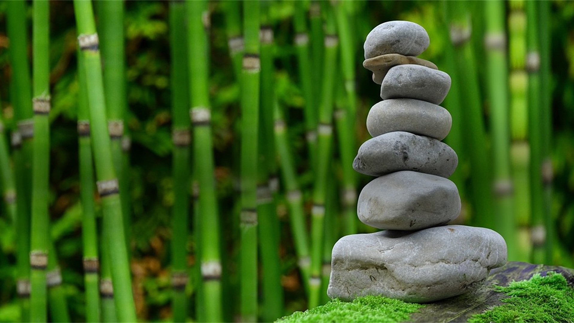 Alla ricerca dell’equilibrio