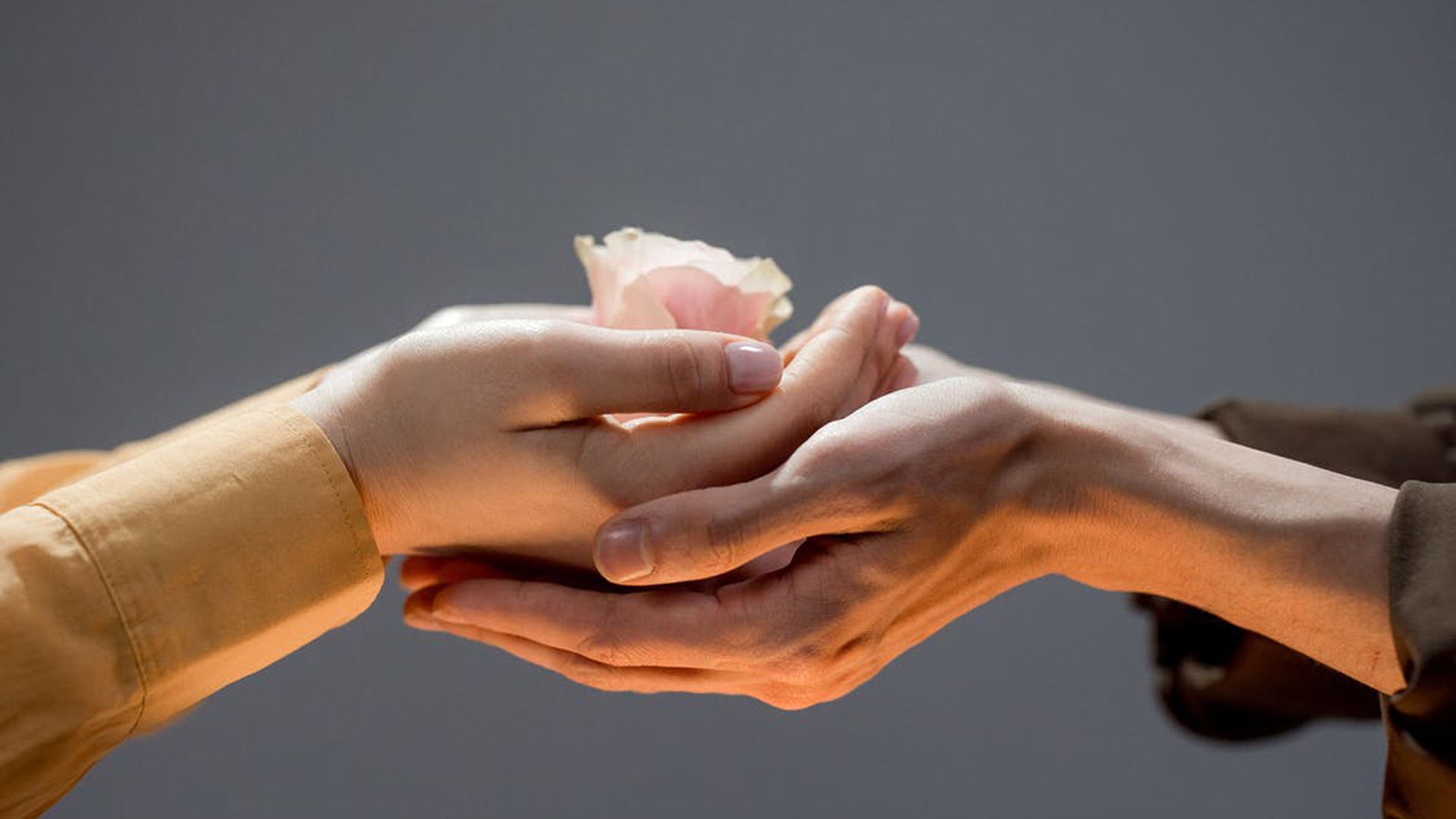 Quando la gentilezza e la solidarietà cambiano la vita