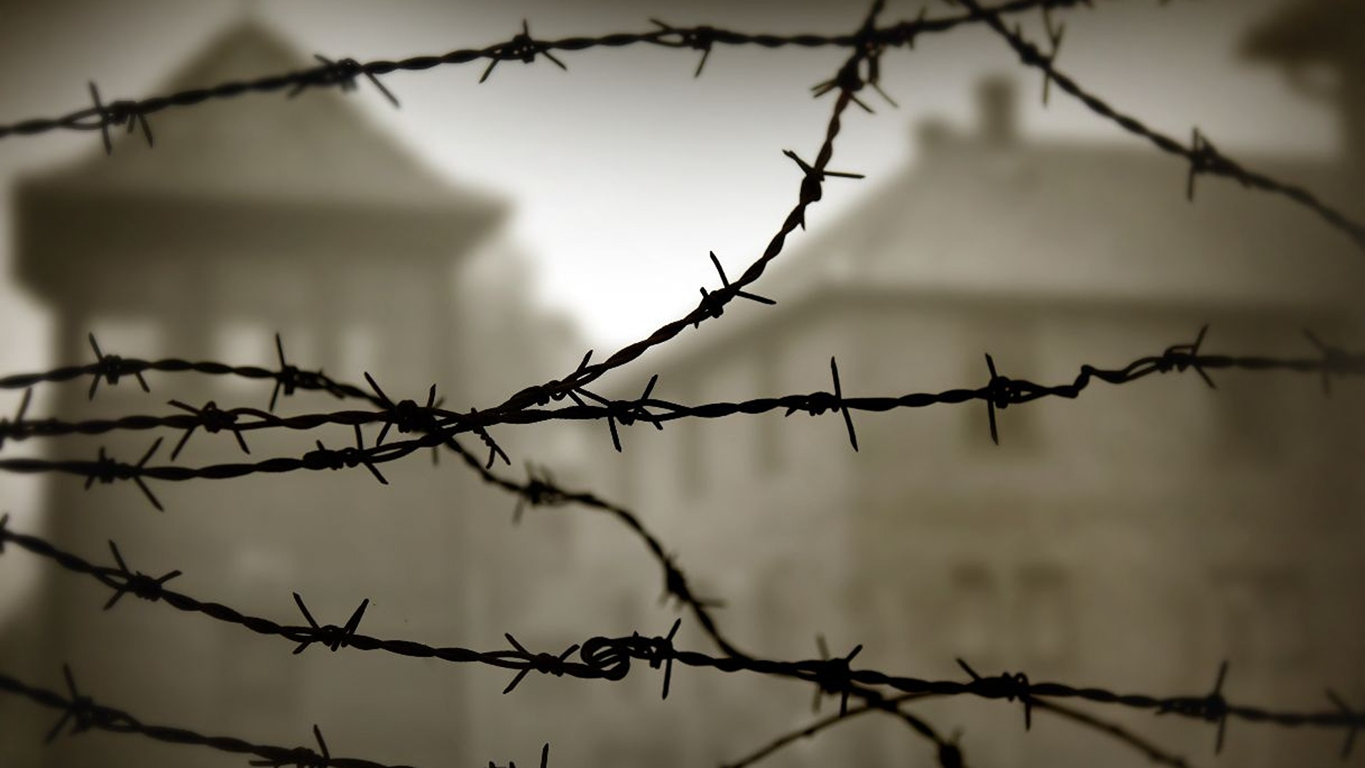 Parole al vento – Studiate la storia