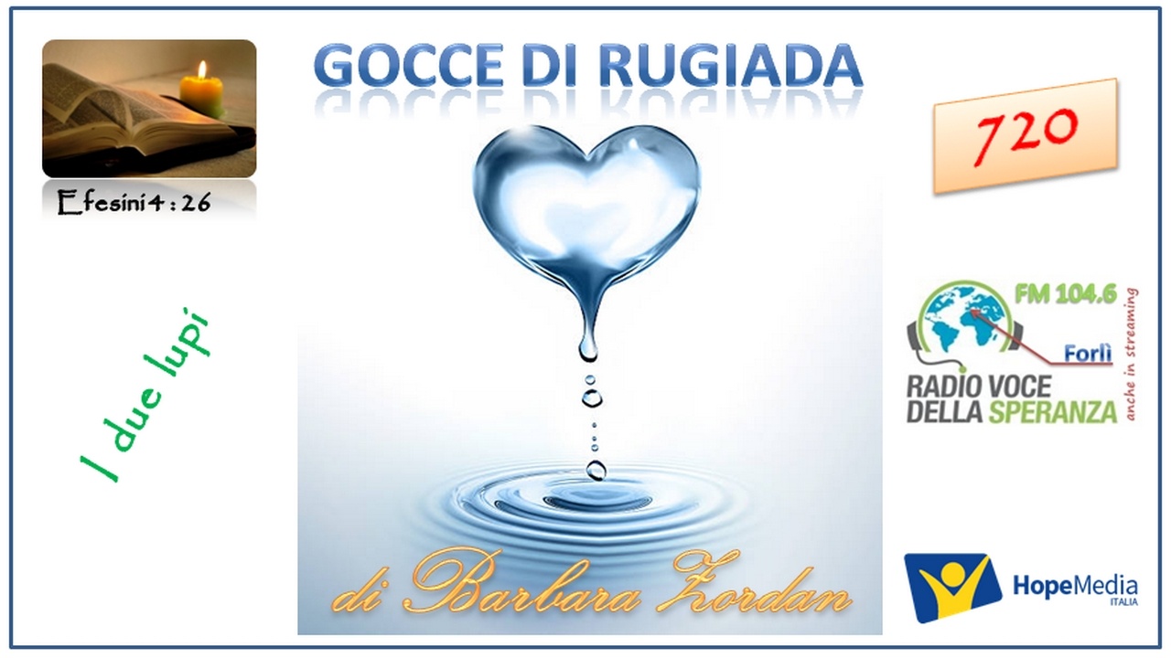 Gocce di Rugiada 720 (I due lupi)