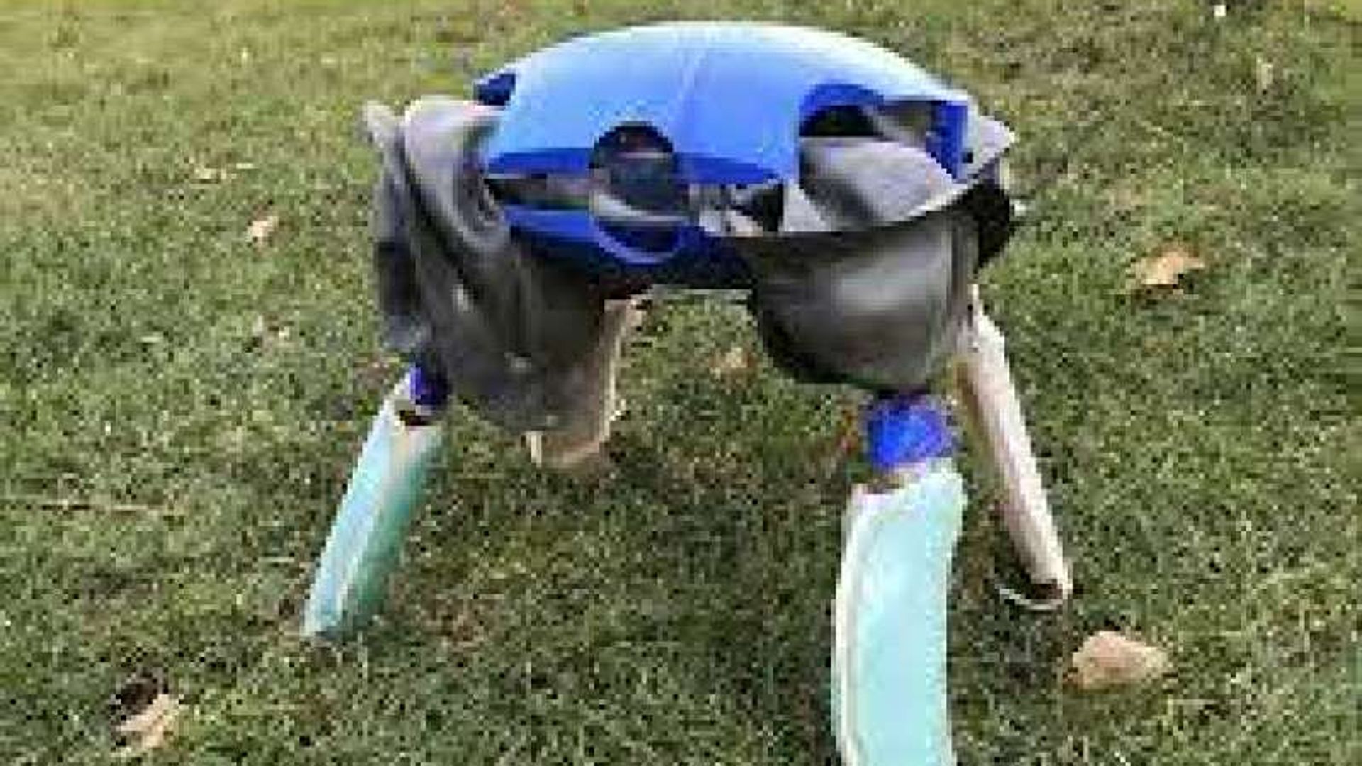 il-robot-tartaruga-1731968-1