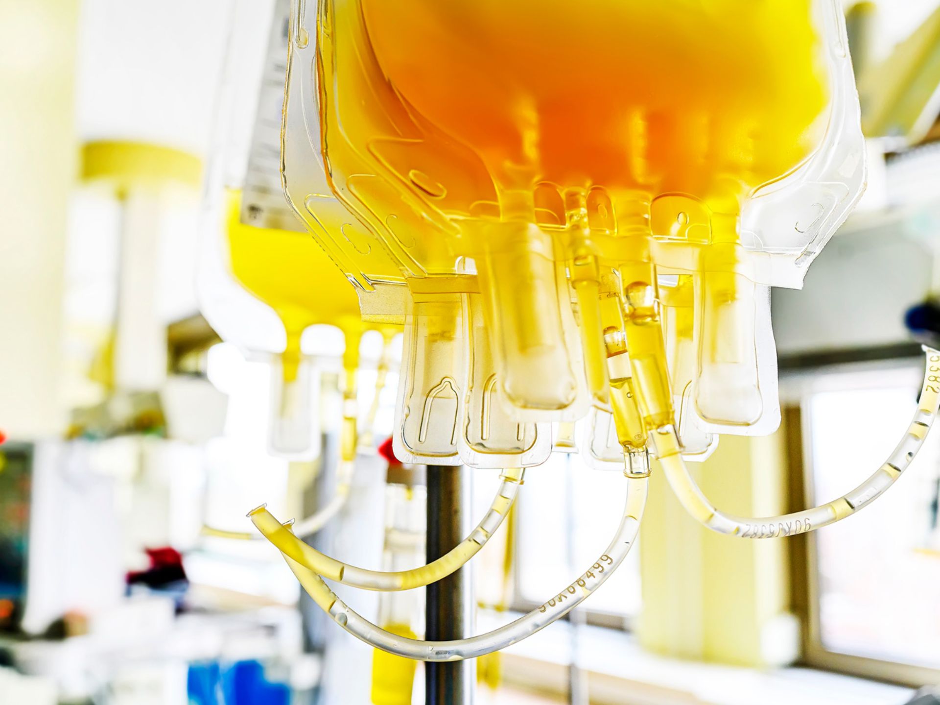 CNS – Istituto Superiore di Sanità. La raccolta plasma è ancora in calo