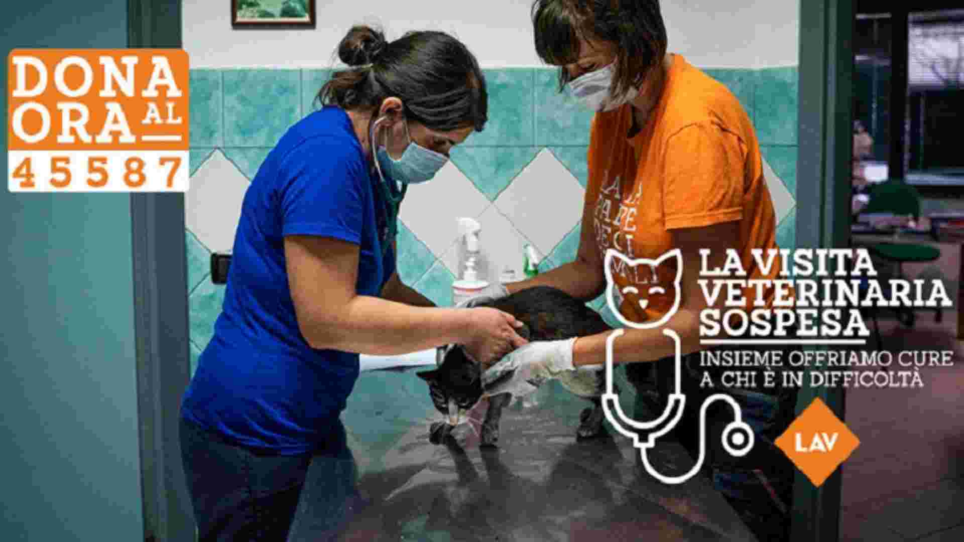“La visita veterinaria sospesa”, prende il via il progetto di raccolta fondi LAV