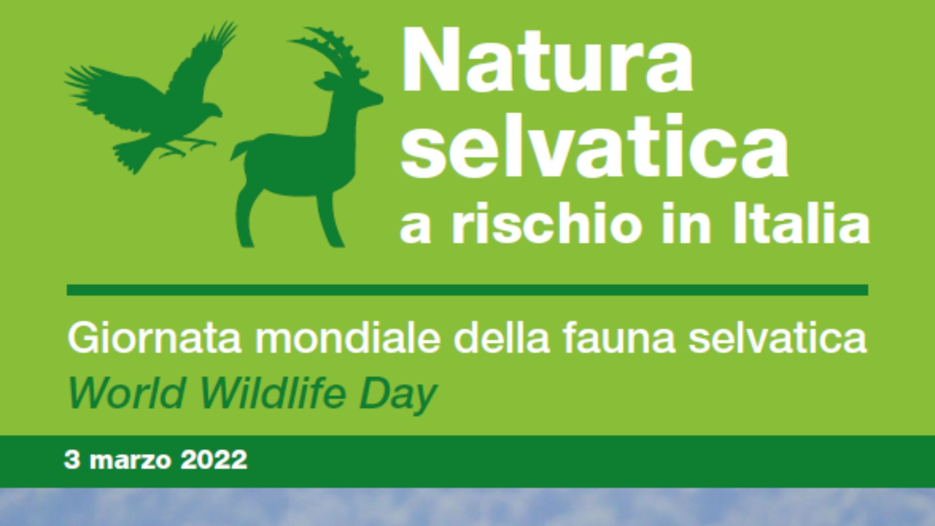 Legambiente, natura selvatica a rischio in Italia