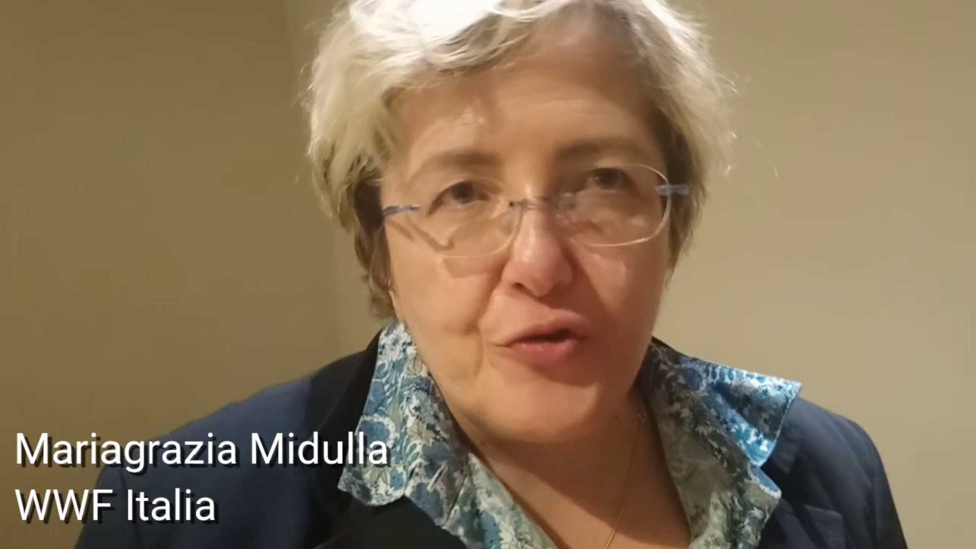 Emergenza ambientale e scelte politiche