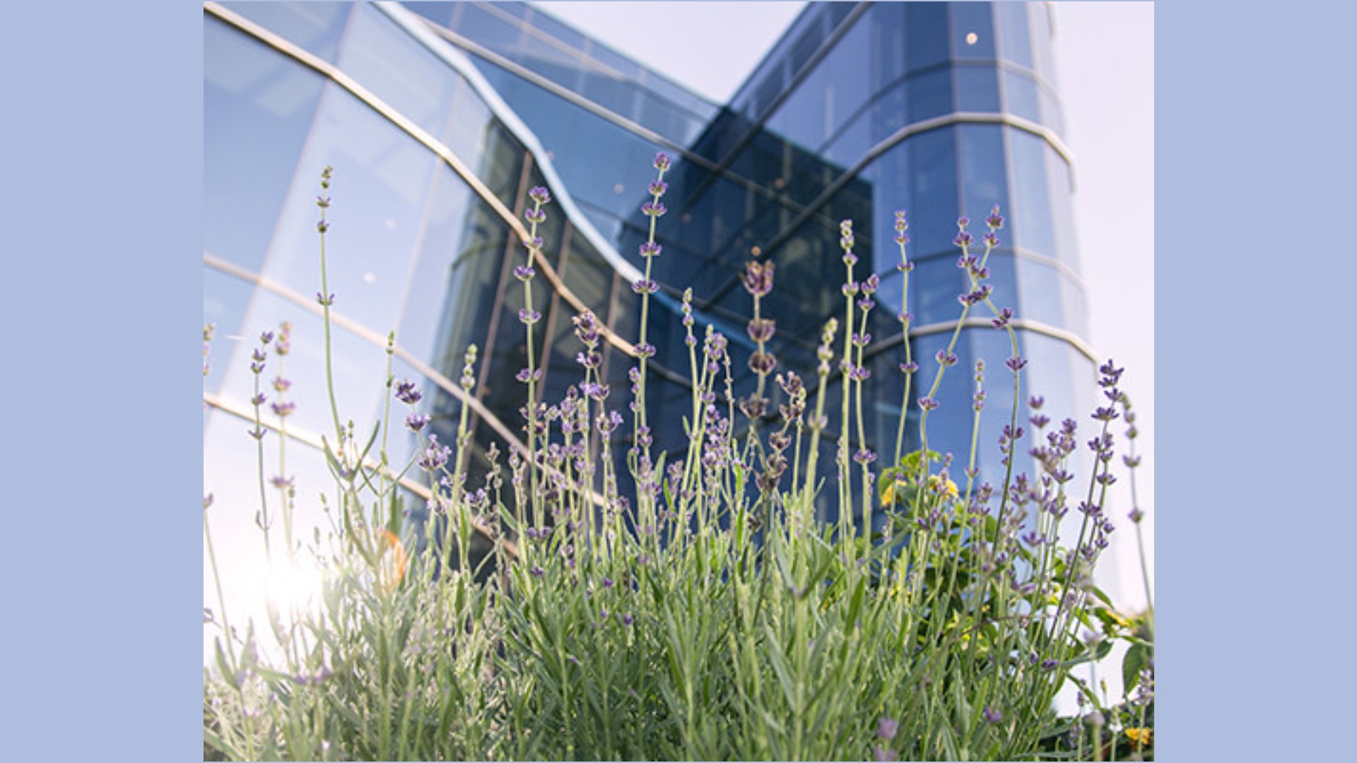 nad-headquarters-cover