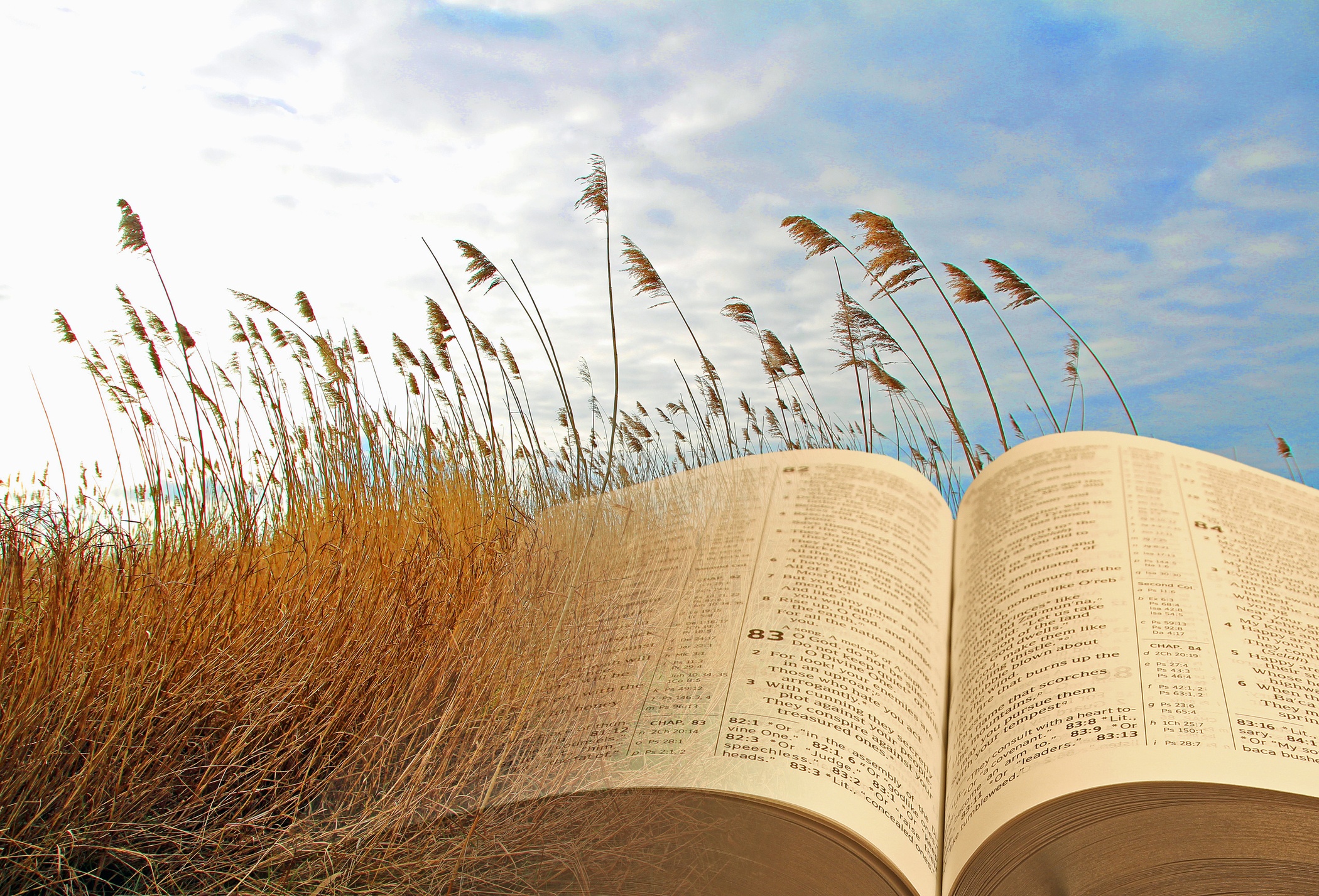 Le parabole, racconti senza tempo per conoscere le verità divine #6