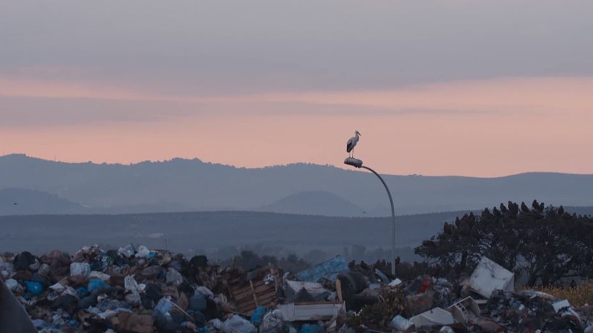 Protestantesimo Rai 3. Il futuro della terra