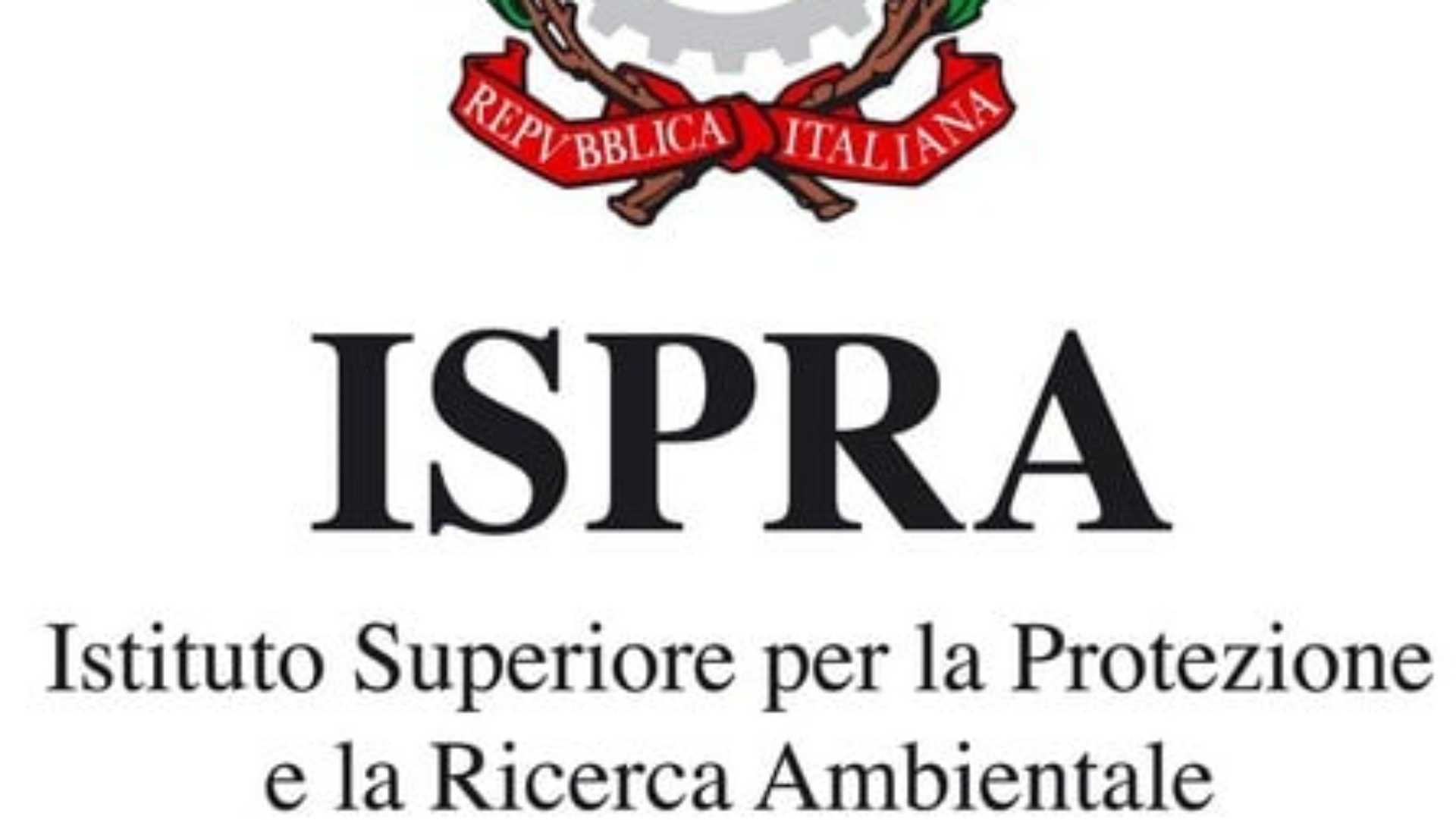 “Transizione ecologica aperta. Dove andiamo in Italia?” Rapporto ISPRA