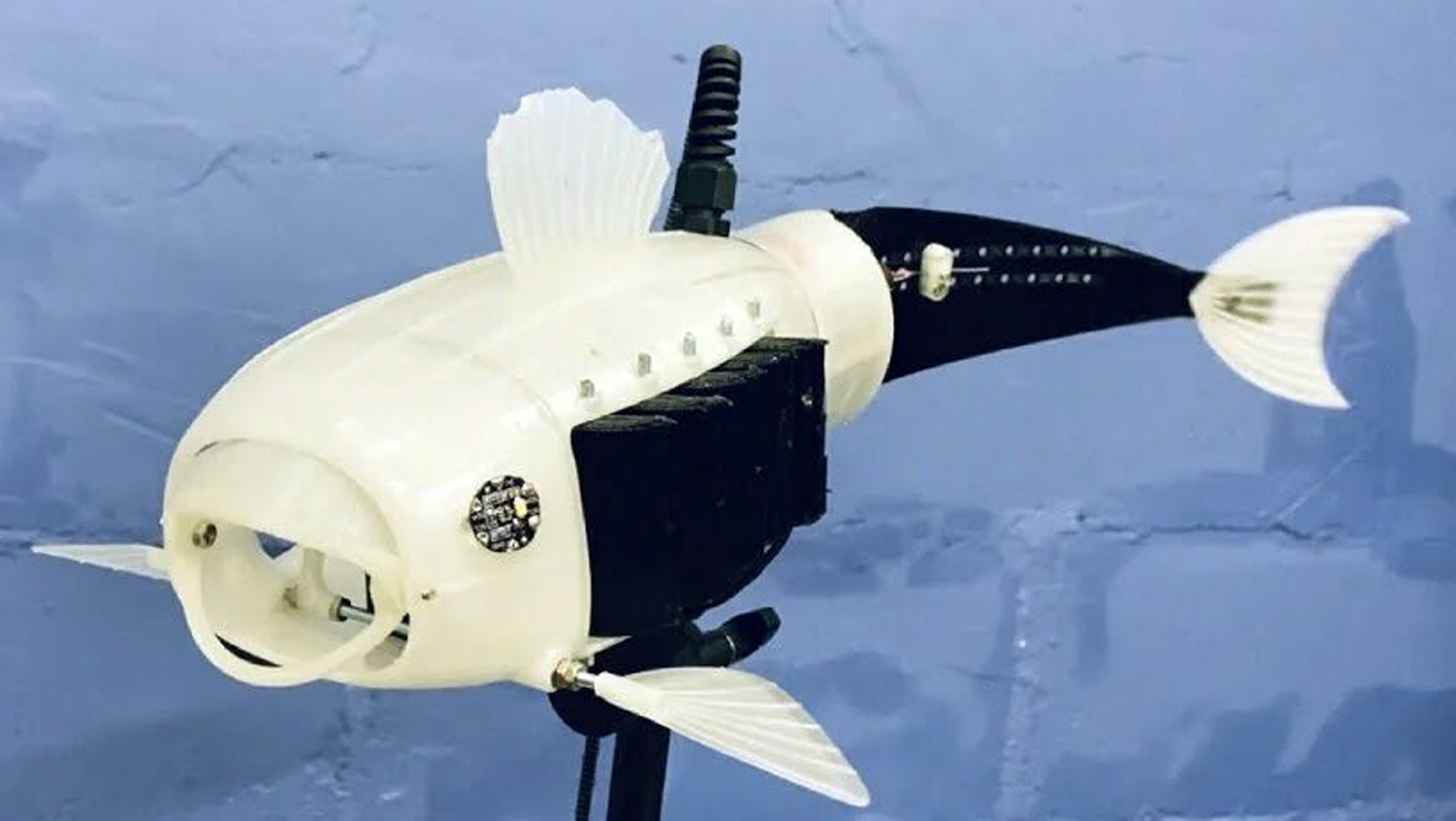 Un pesce robot per ripulire le acque dalle microplastiche