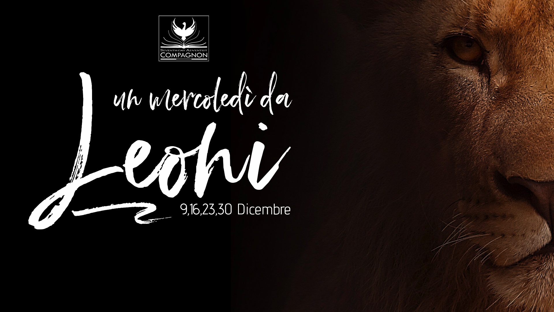 Compagnon. Un mercoledì da leoni