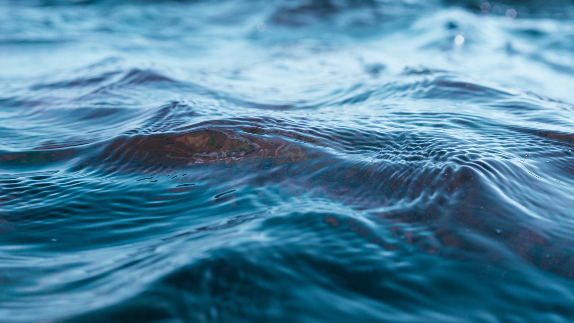 waters-of-death-waters-of-life