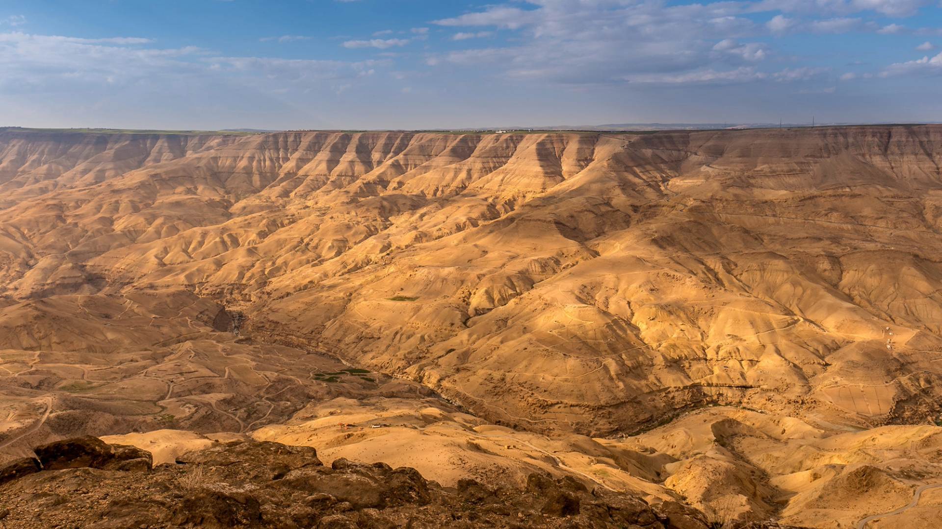 ame10006075920190303tet2344-lpr-1