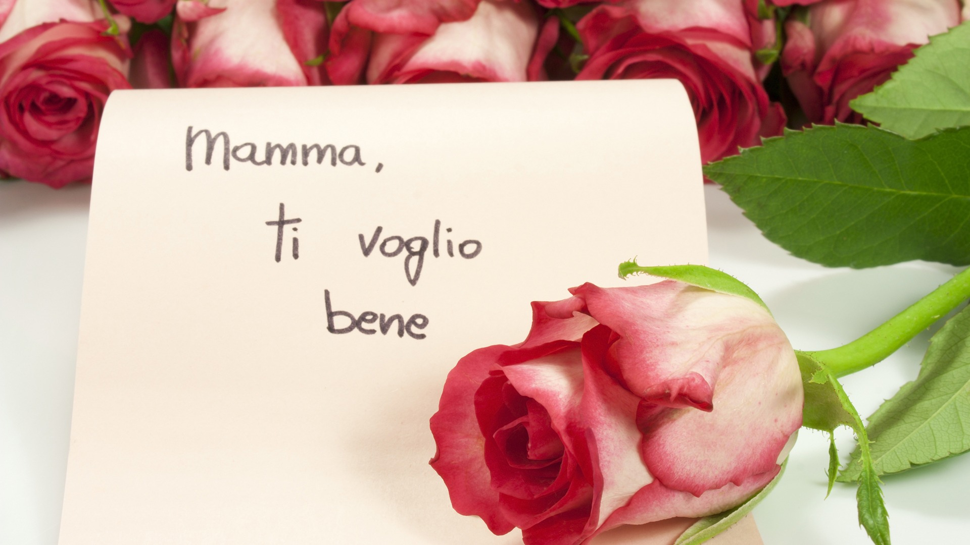 dreamstime_m_30876309 (1)