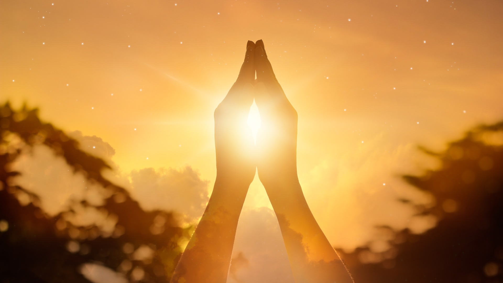 dreamstimem62178860-1