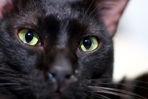 dreamstimexs110595414