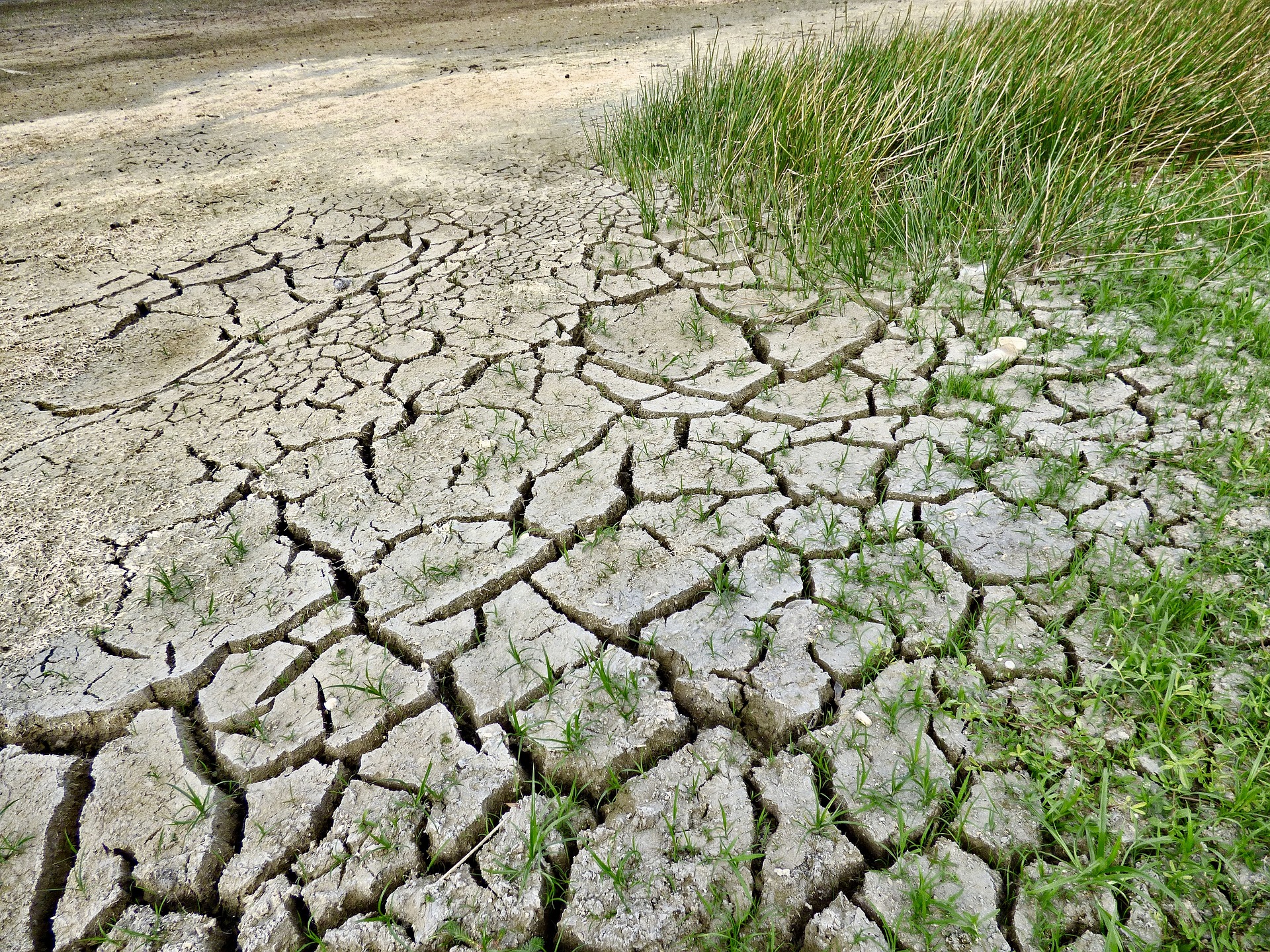 “La creazione geme ed è in travaglio” – Redenzione dell’umanità e del creato